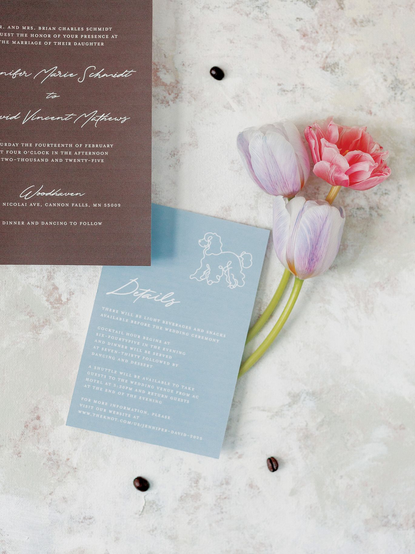 2025-08/Lauren Baker Photography_Pantone and Poodles Editorial-4.jpg