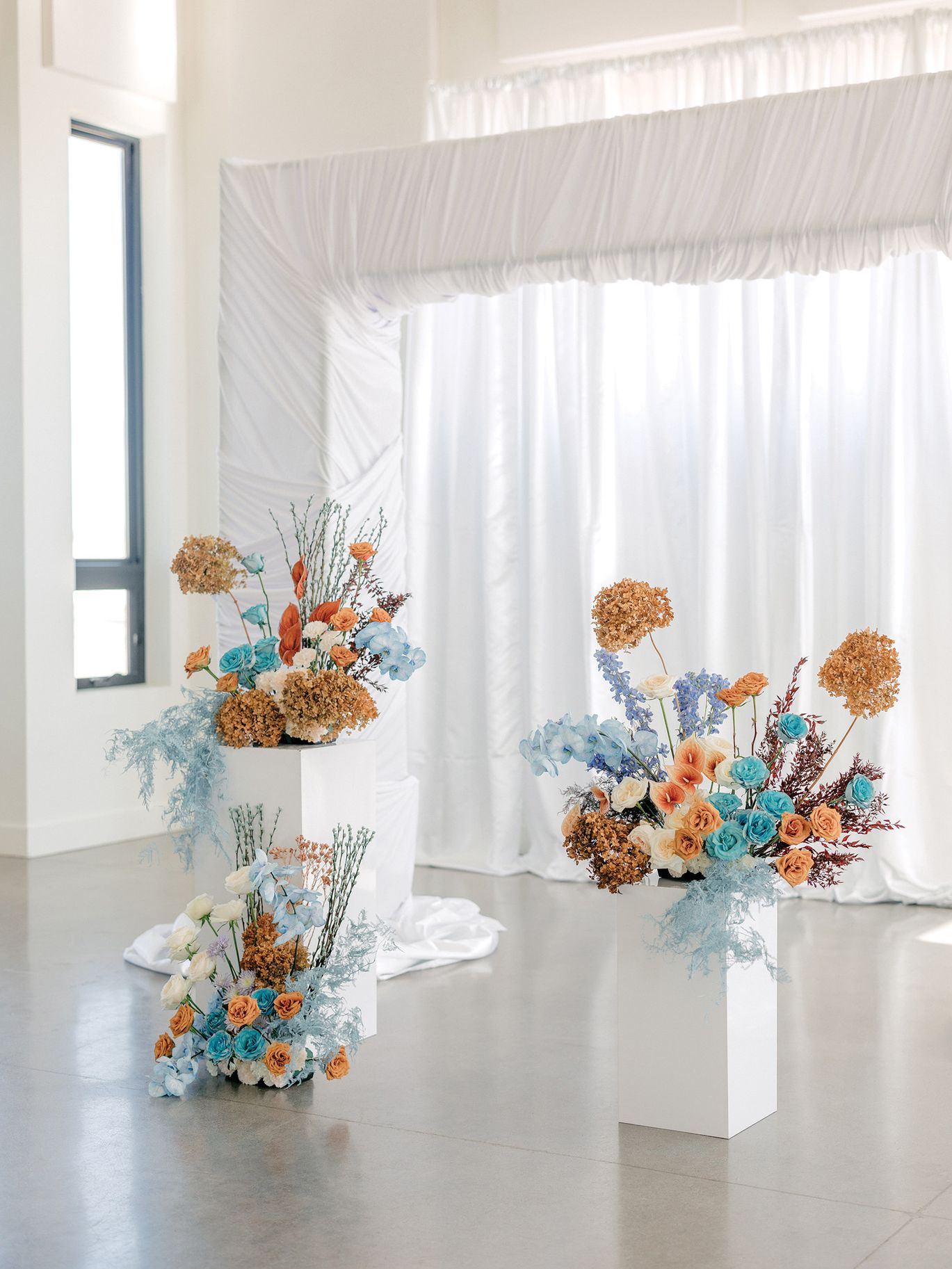 2025-08/Lauren Baker Photography_Pantone and Poodles Editorial-19.jpg