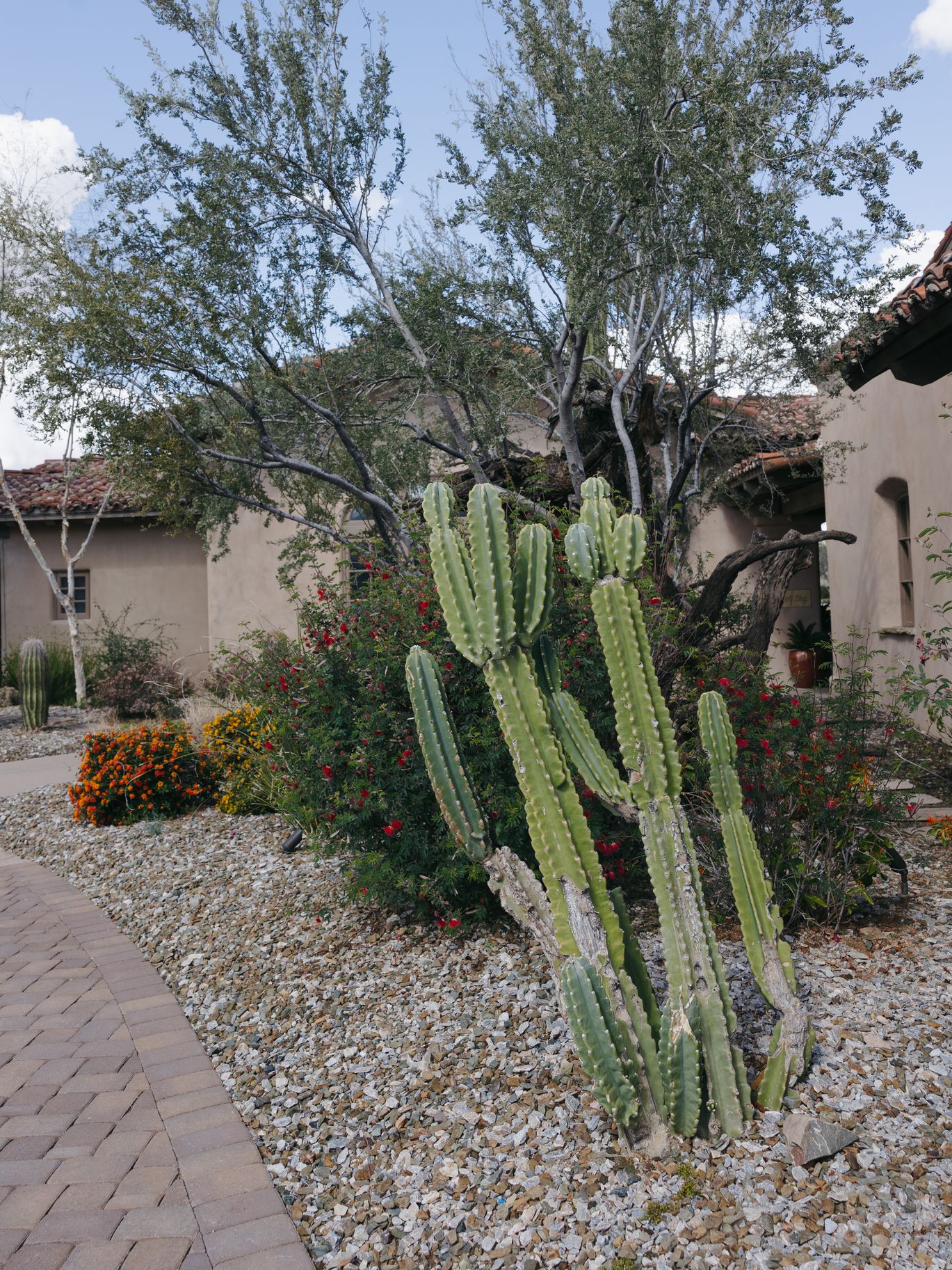 2025-08/editorial-arizona-wedding-photographer-cacie-carroll-photography-85-2.jpg