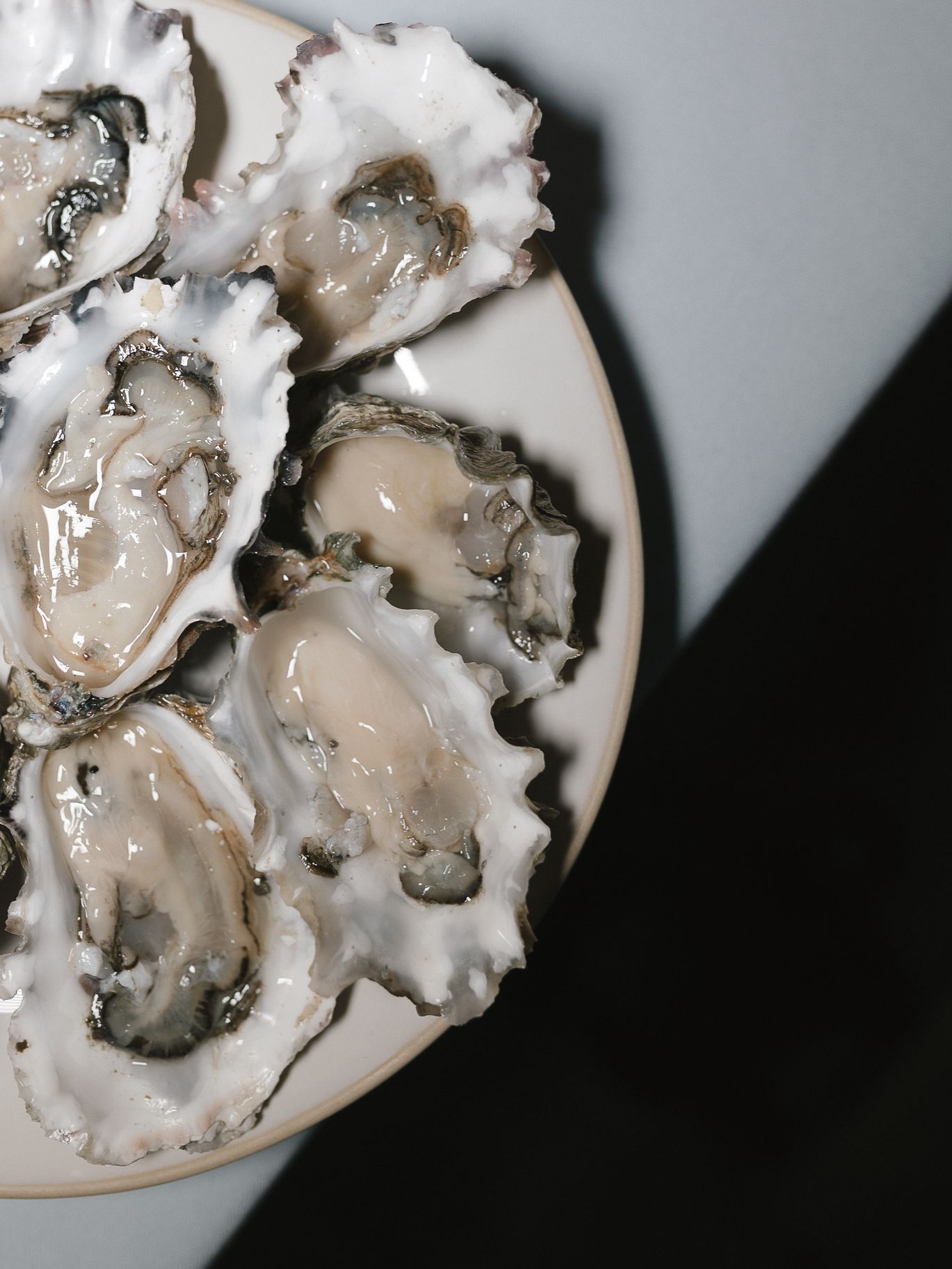2025-09/OYSTER-STYLED-WEDDING-PHOTOSHOOT-SEATTLE-286.jpg