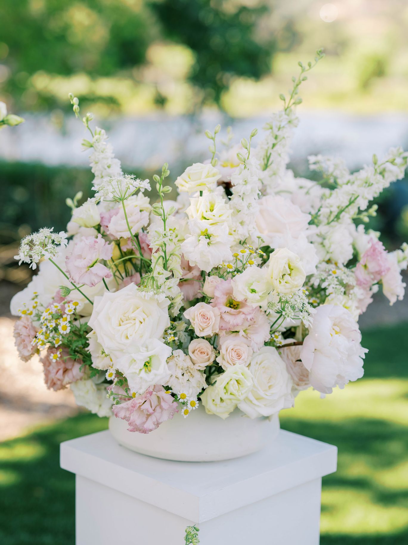 2025-10/Ian_Jean_Wedding_598.jpg