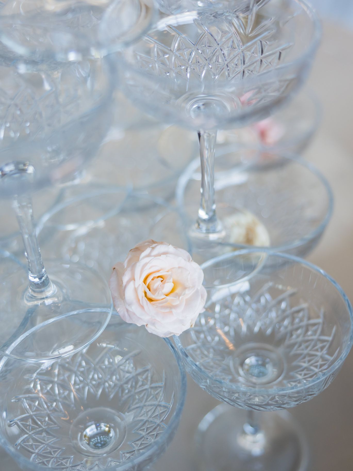 2025-12/bycphotography-hanger21-styledshoot-016.jpg