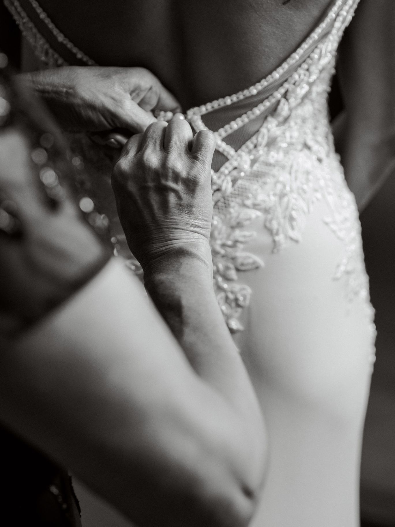 2026-01/Jeanine and Vincent- Pamela Tatz Photography-009.jpg