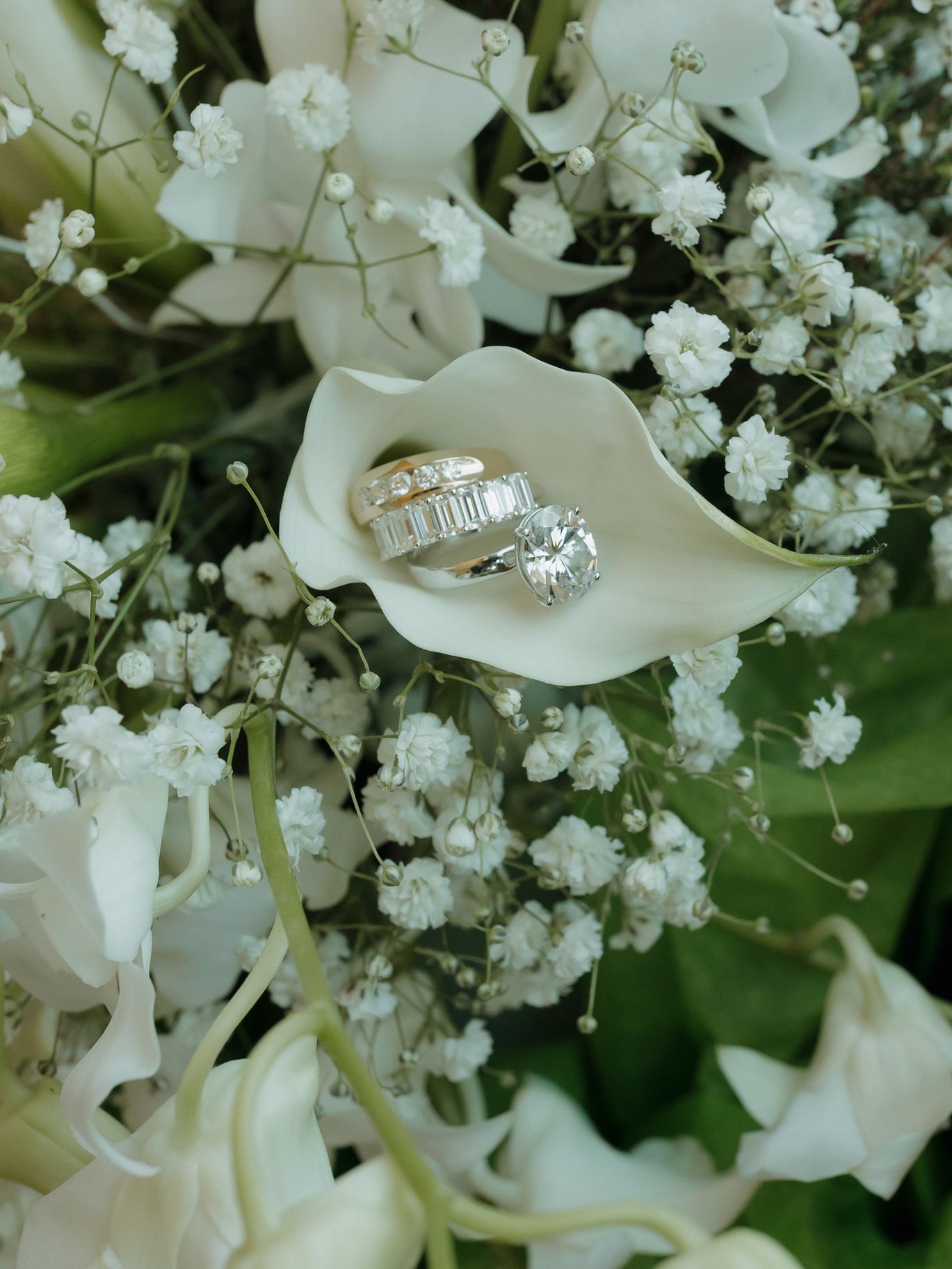 2026-03/Mr.+Mrs.DavisFinal-16433.jpg