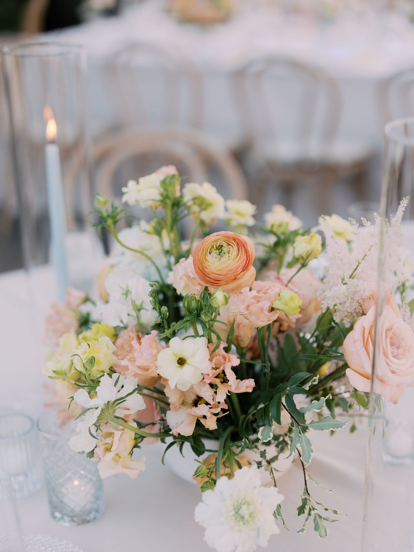 2026-04/Party(142)_0.jpg