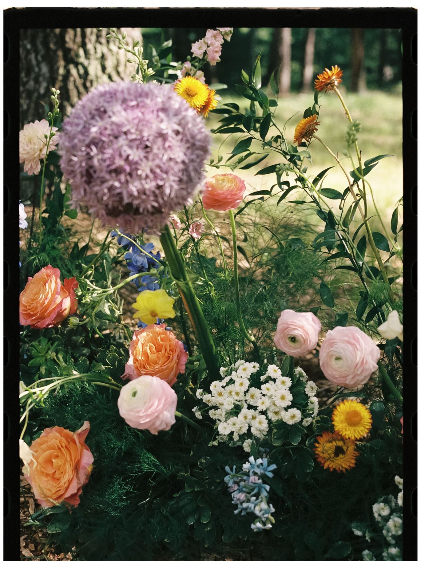2026-07/C+M Wedding Film-119_websize.jpg