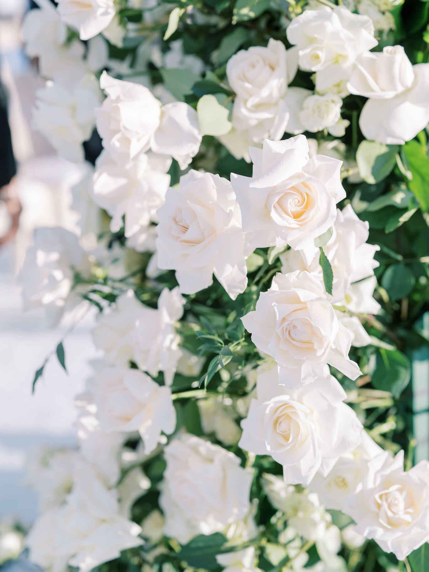 2026-08/OliviaandBlaecWedding_899.jpg