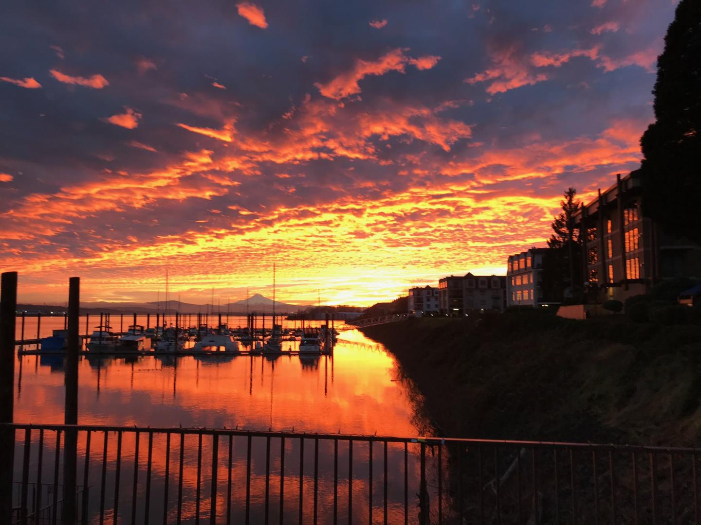 Sunrise.jpeg