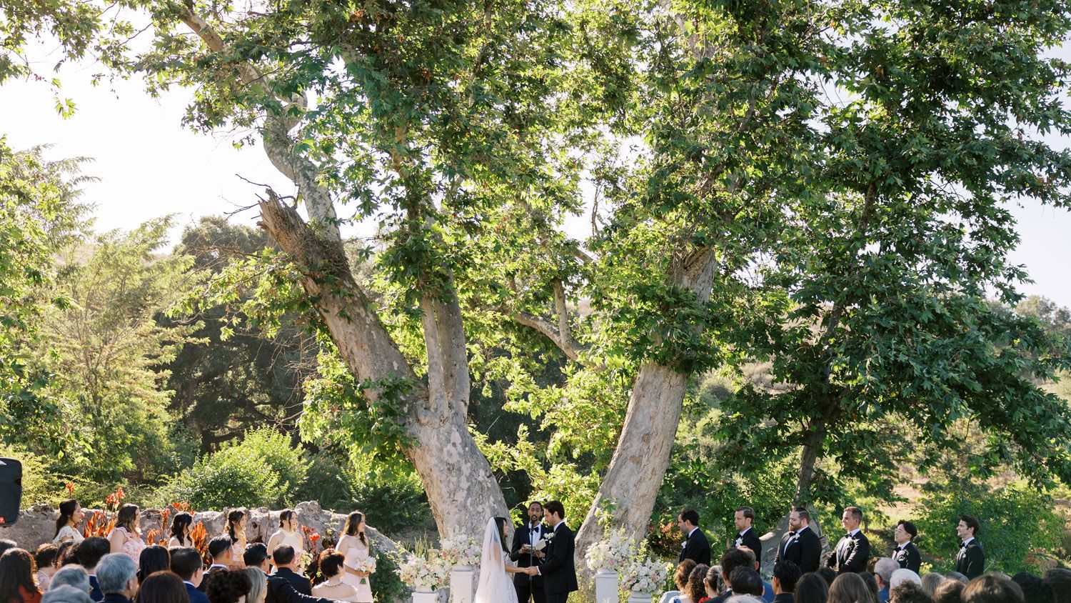 2025-10/Ian_Jean_Wedding_853_0.jpg