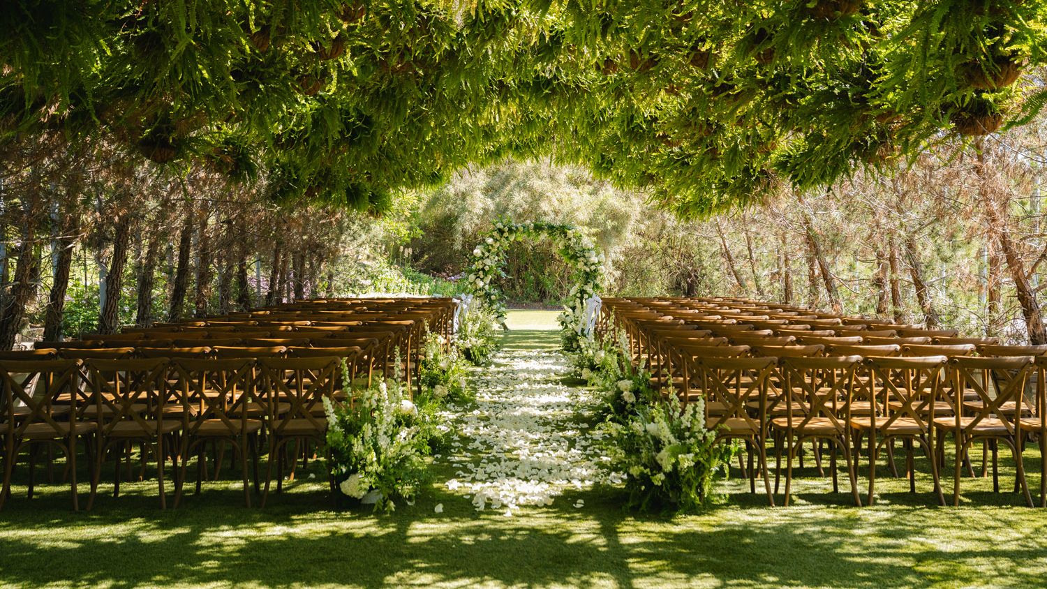 2026-01/Jeanine and Vincent- Pamela Tatz Photography-033_0.jpg