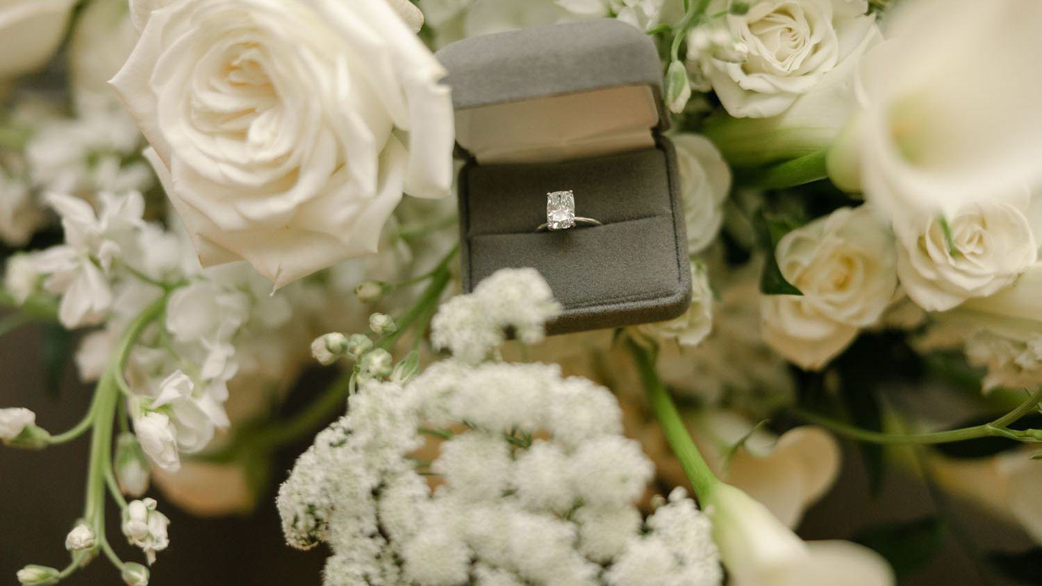 2026-03/5.9.25Jake+ZayaProposal-28_0.jpg