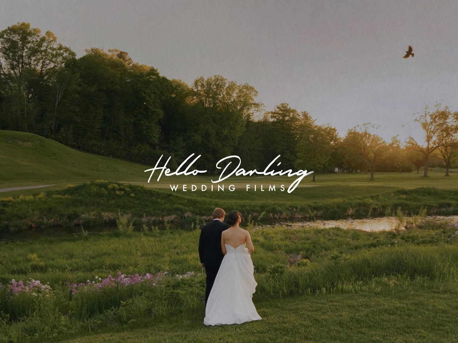 hello darling