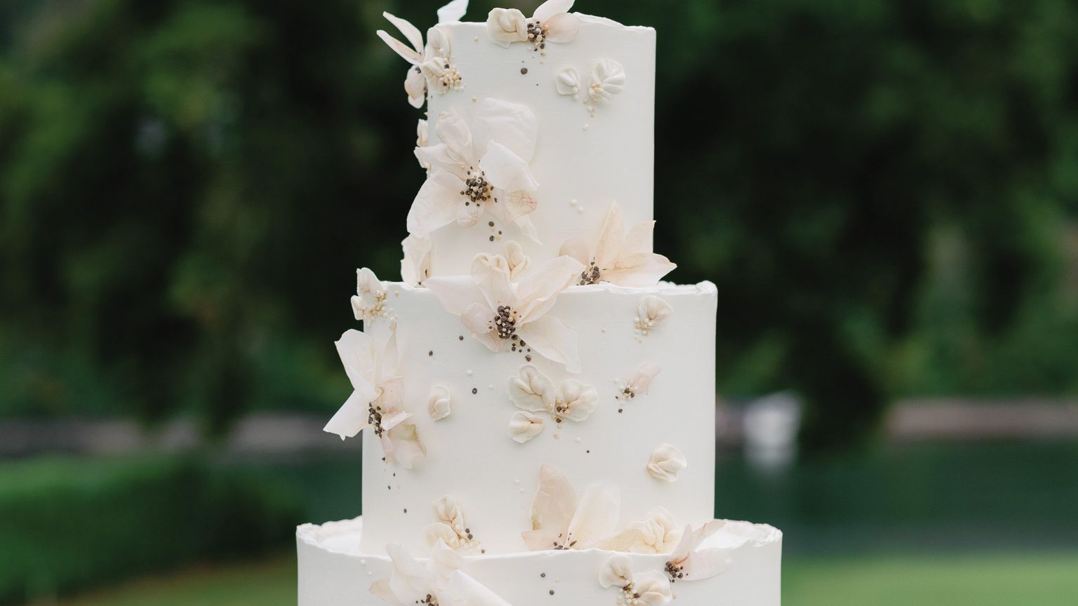 2024-05/EdChoice-BestCake-Carlos Hernandez Wedding Photography.jpg