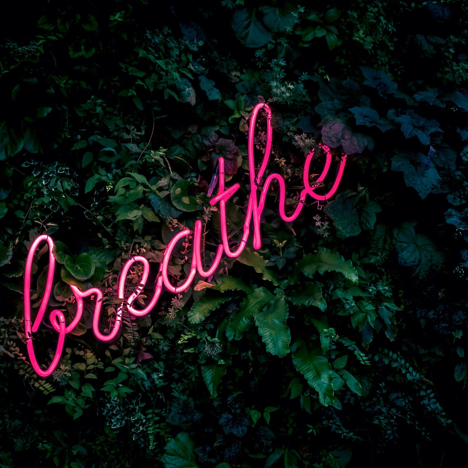 field/sandbox_californiaweddingday_com_239elwb01_blackmesh_com/2021/image/fabian-moller-gi7zgb80qwy-unsplash (1).jpg