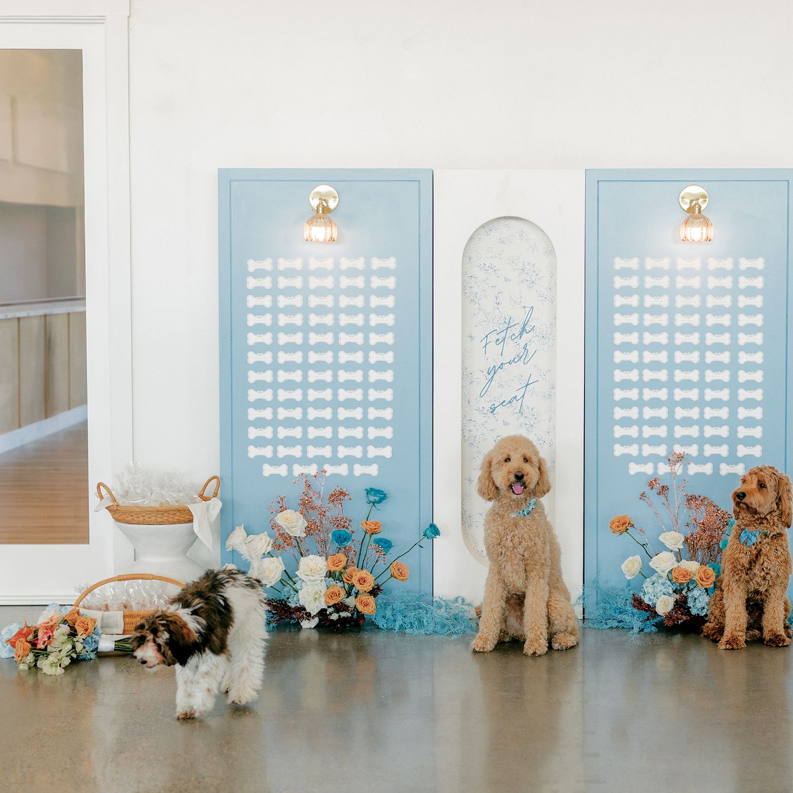Lauren Baker Photography_Pantone and Poodles Editorial-46_0.jpg
