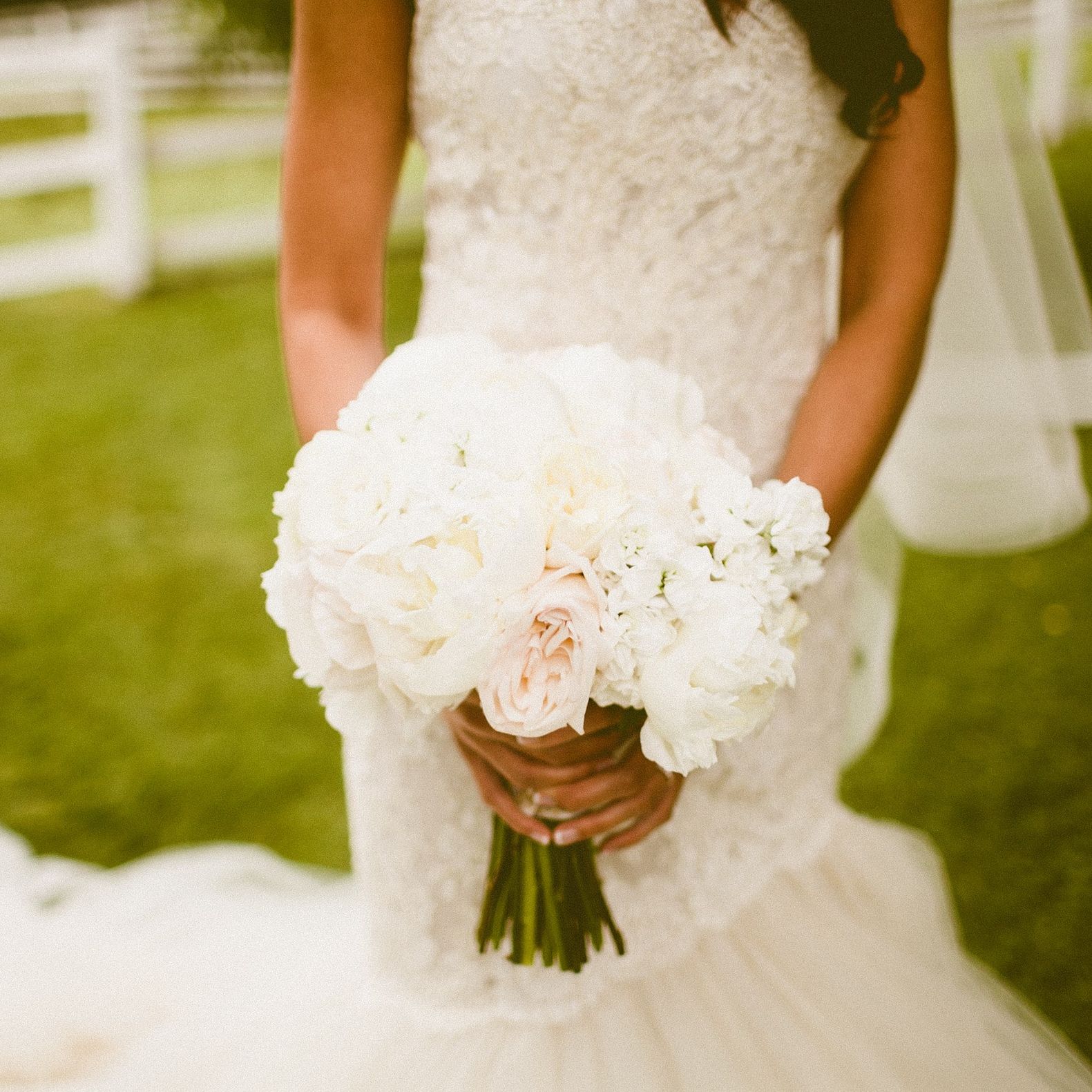Andria Lindquist Photography | Butter & Bloom