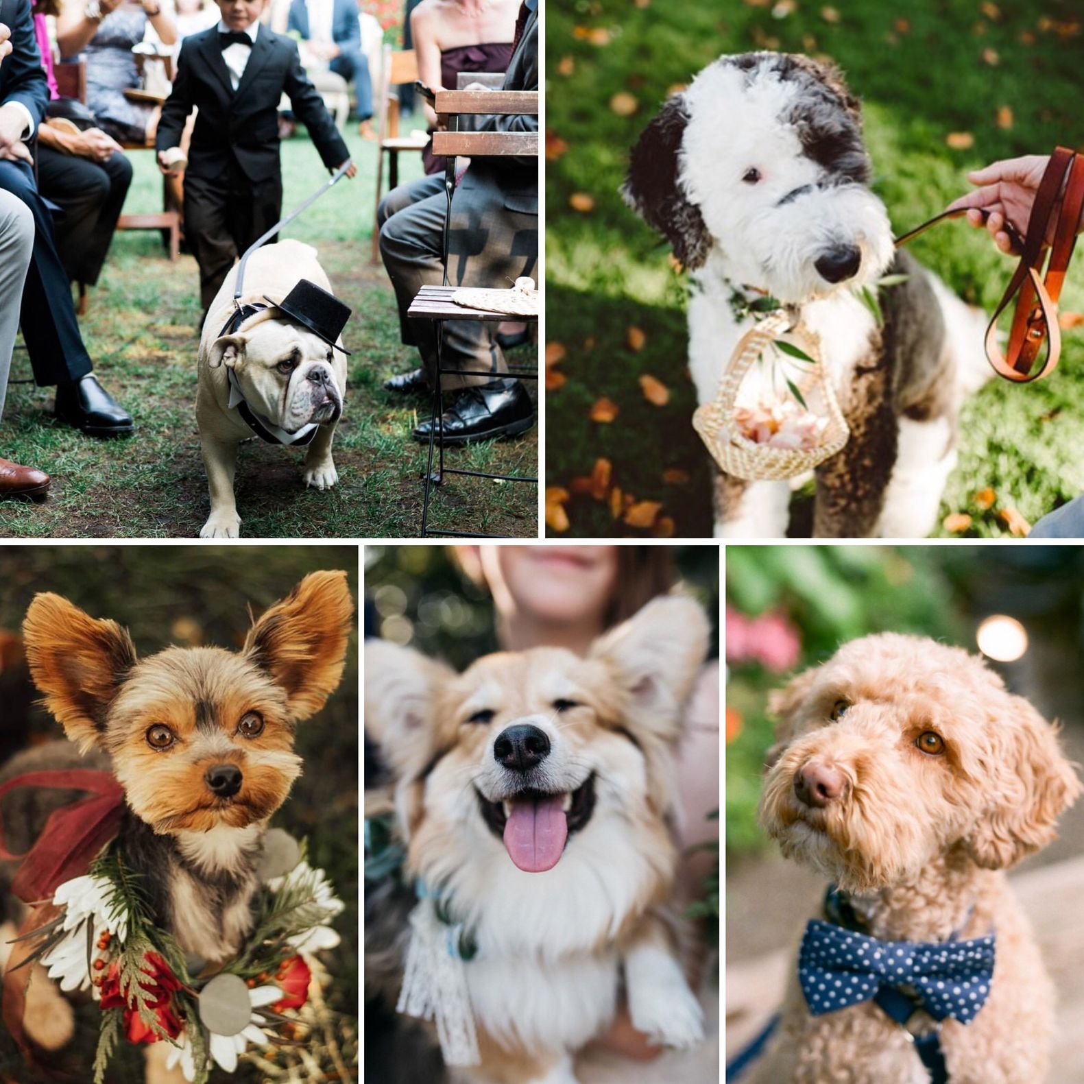 field/seattlebridemagcom239elwb01blackmeshcom/2018/image/IMG_8198.JPG