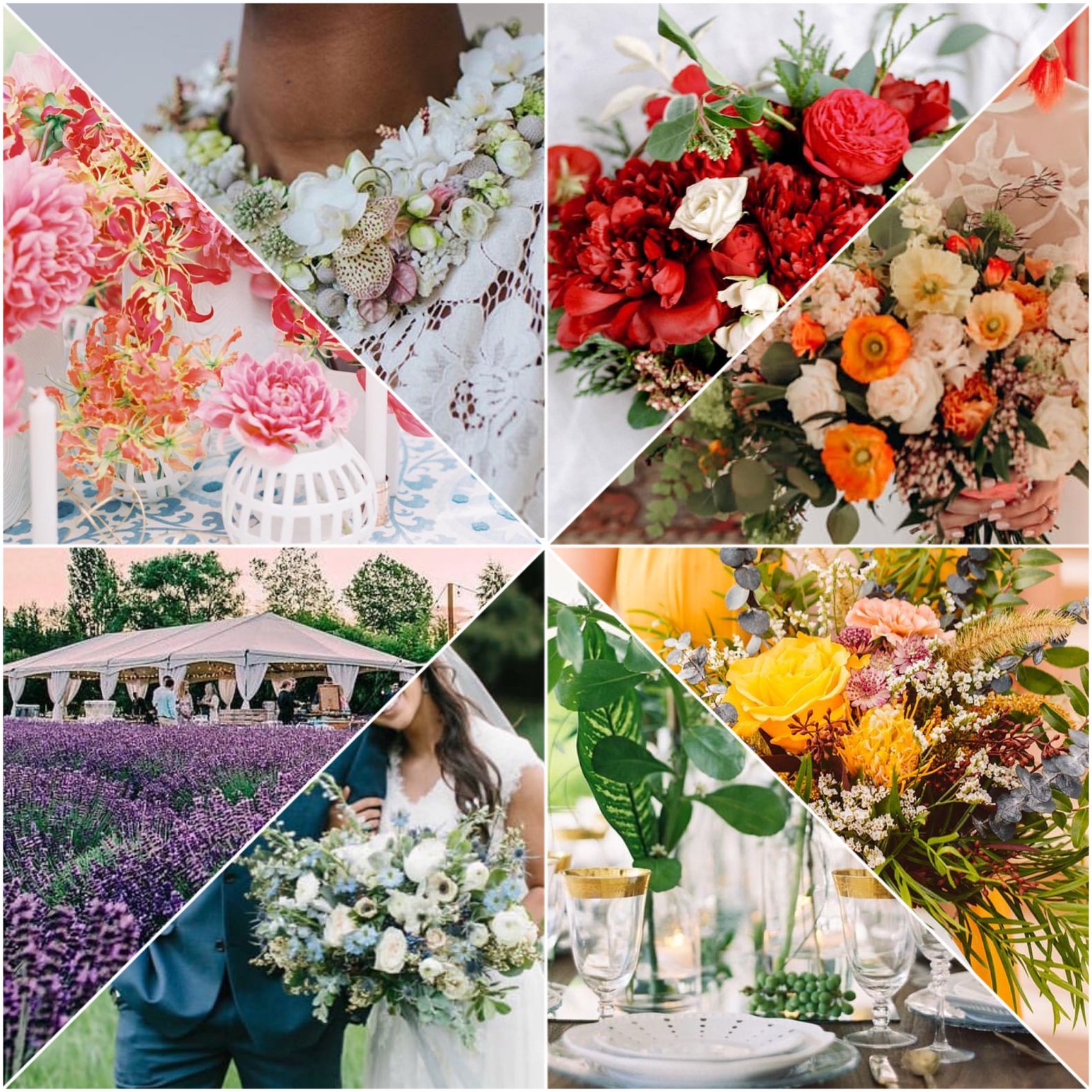 Florals in the spectrum