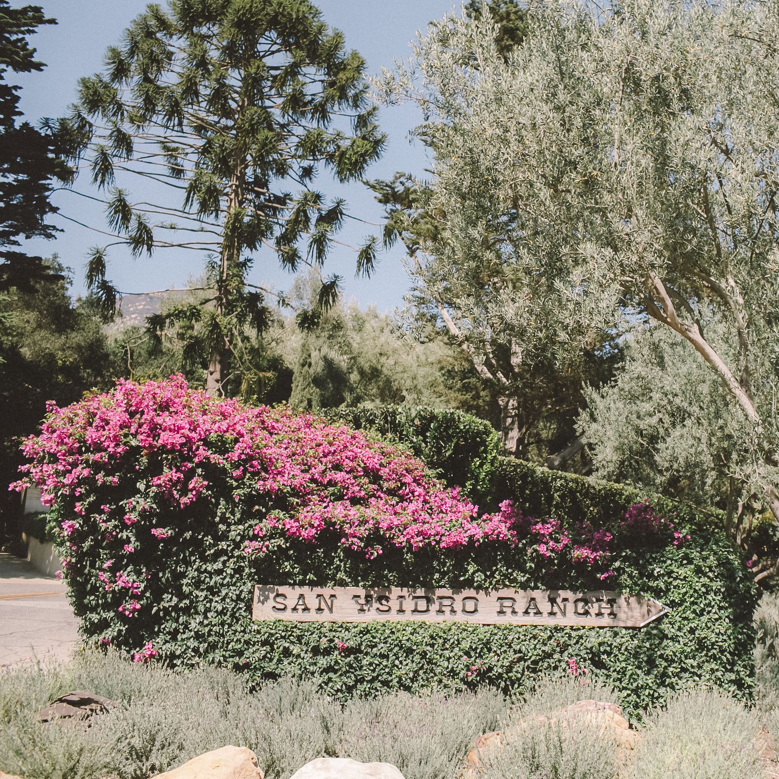 field/sandboxcaliforniaweddingdaycom239elwb01blackmeshcom/2018/image/Anna Delores Photography_San Ysidro Ranch-1.jpg