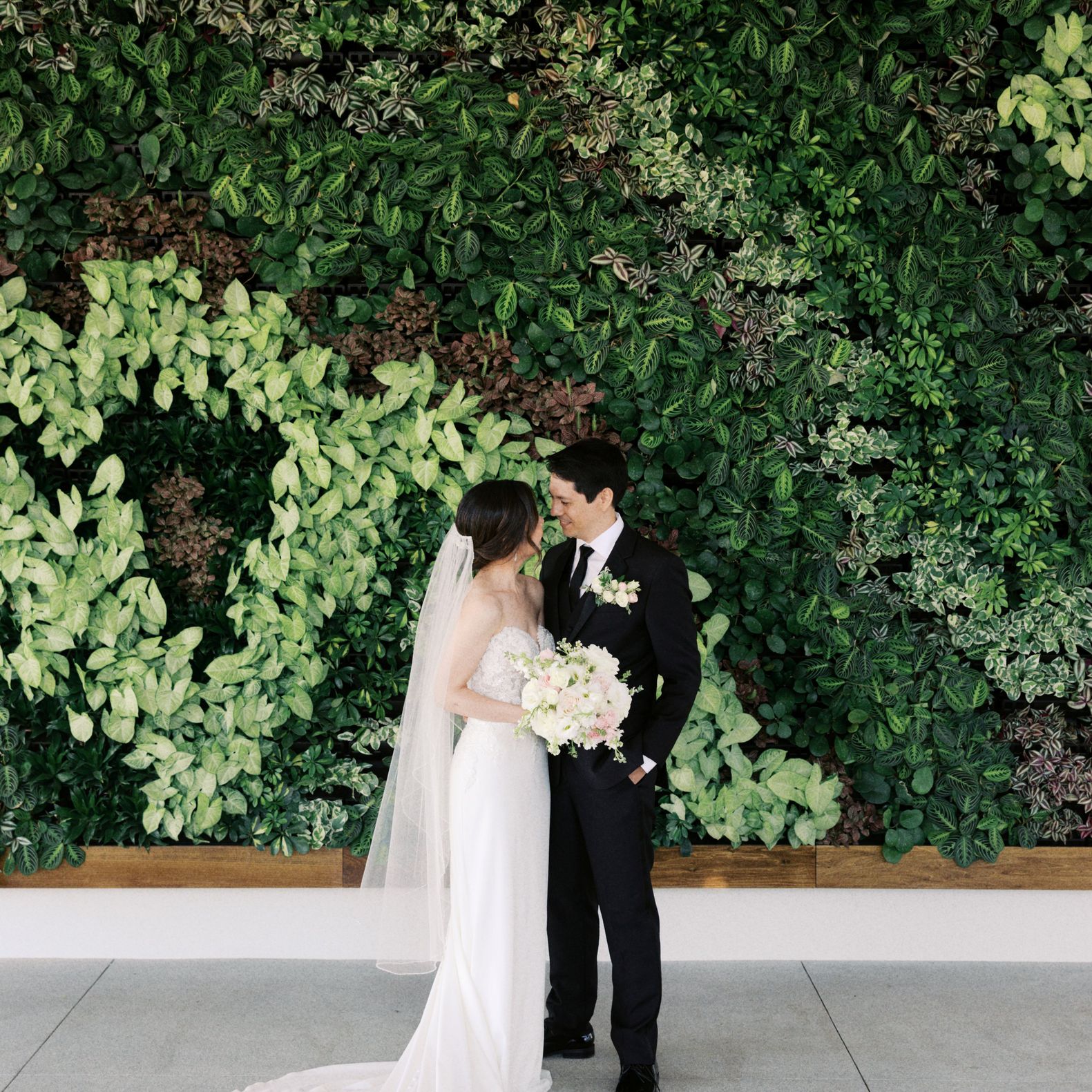 2025-06/Banner Photo - New Living Wall.jpg