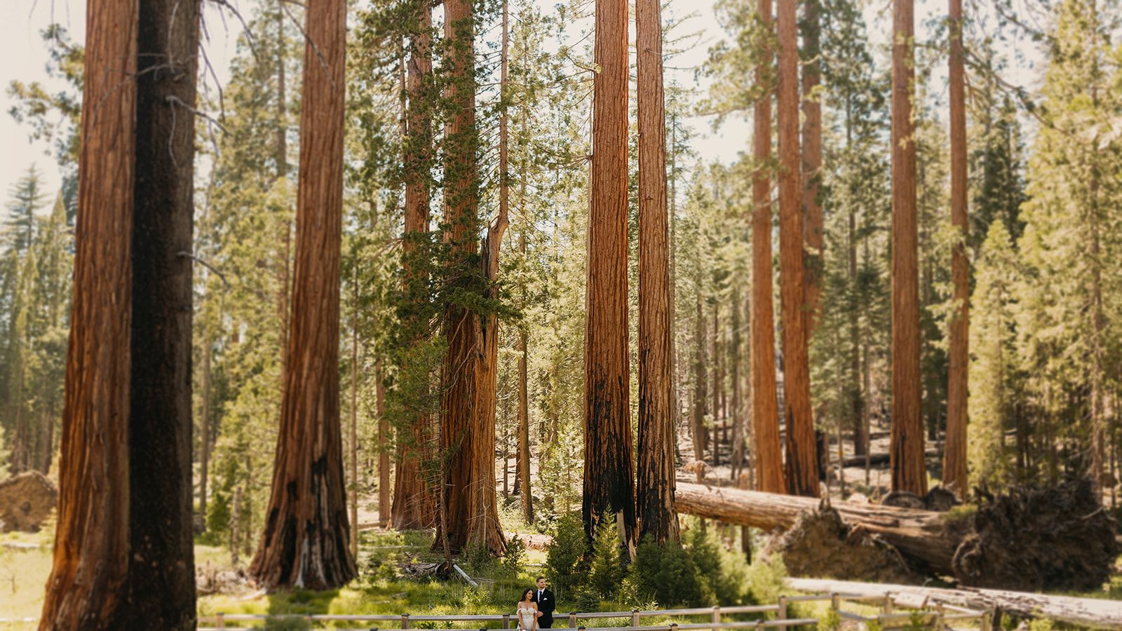 2025-02/Joceyln + Logan _ Yosemite Elopement _ Adventure and Vow-265.jpg