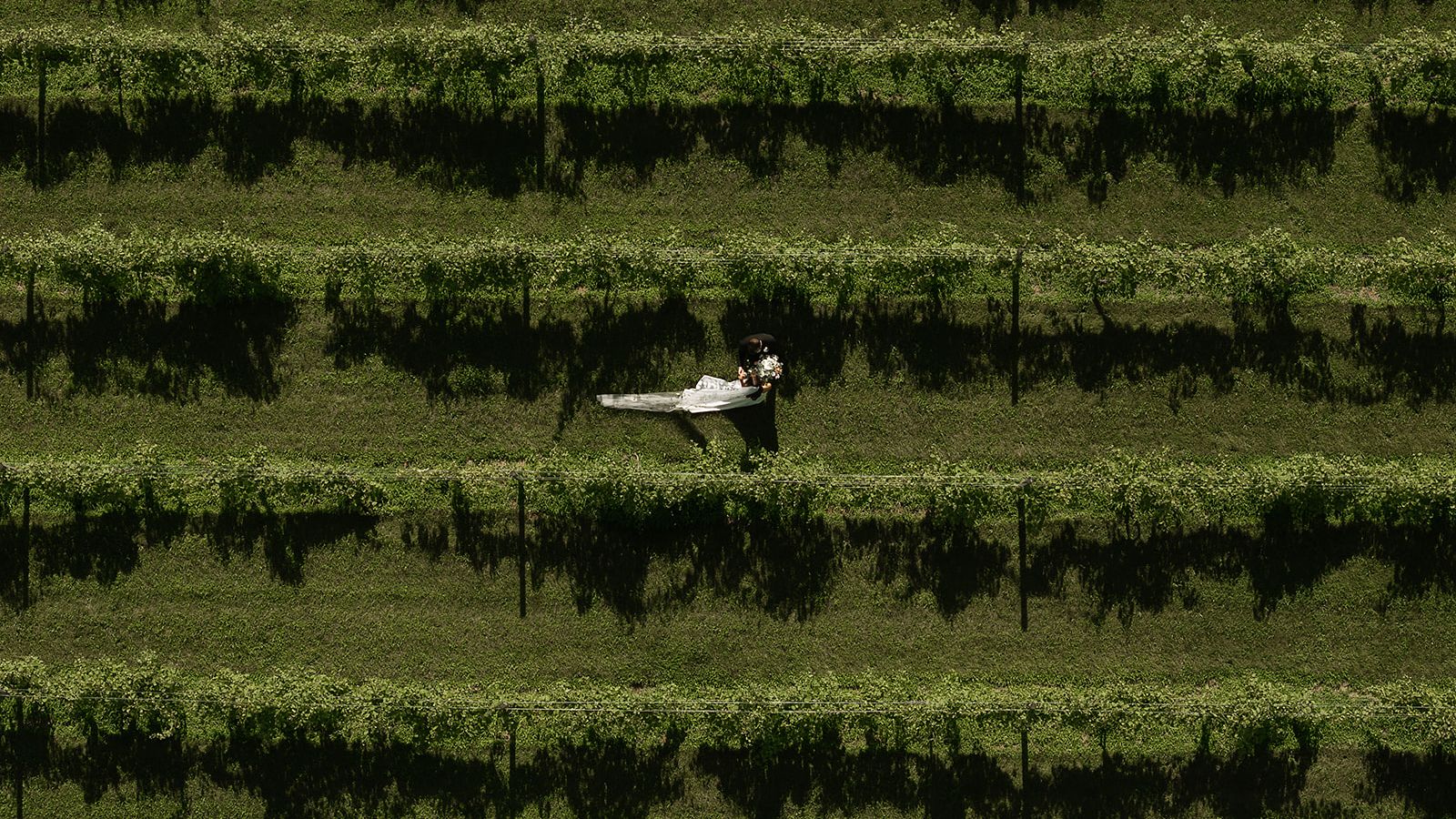 2025-04/DRONE-10_websize.jpg
