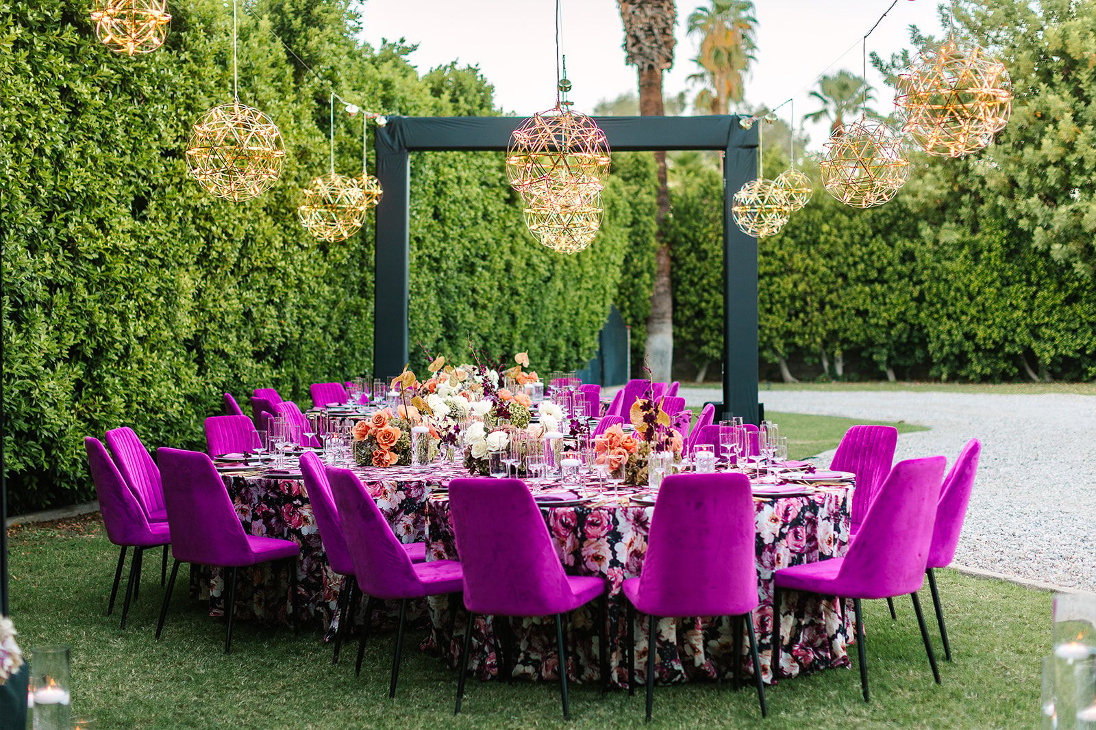 NASE Dinner Under the Stars 2024-93 (4).jpg