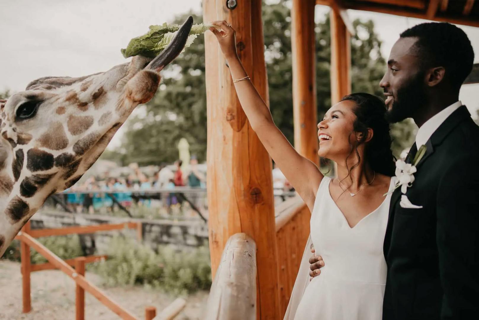 lancer_hospitality_como_park_zoo_conservatory_Weddings.jpg