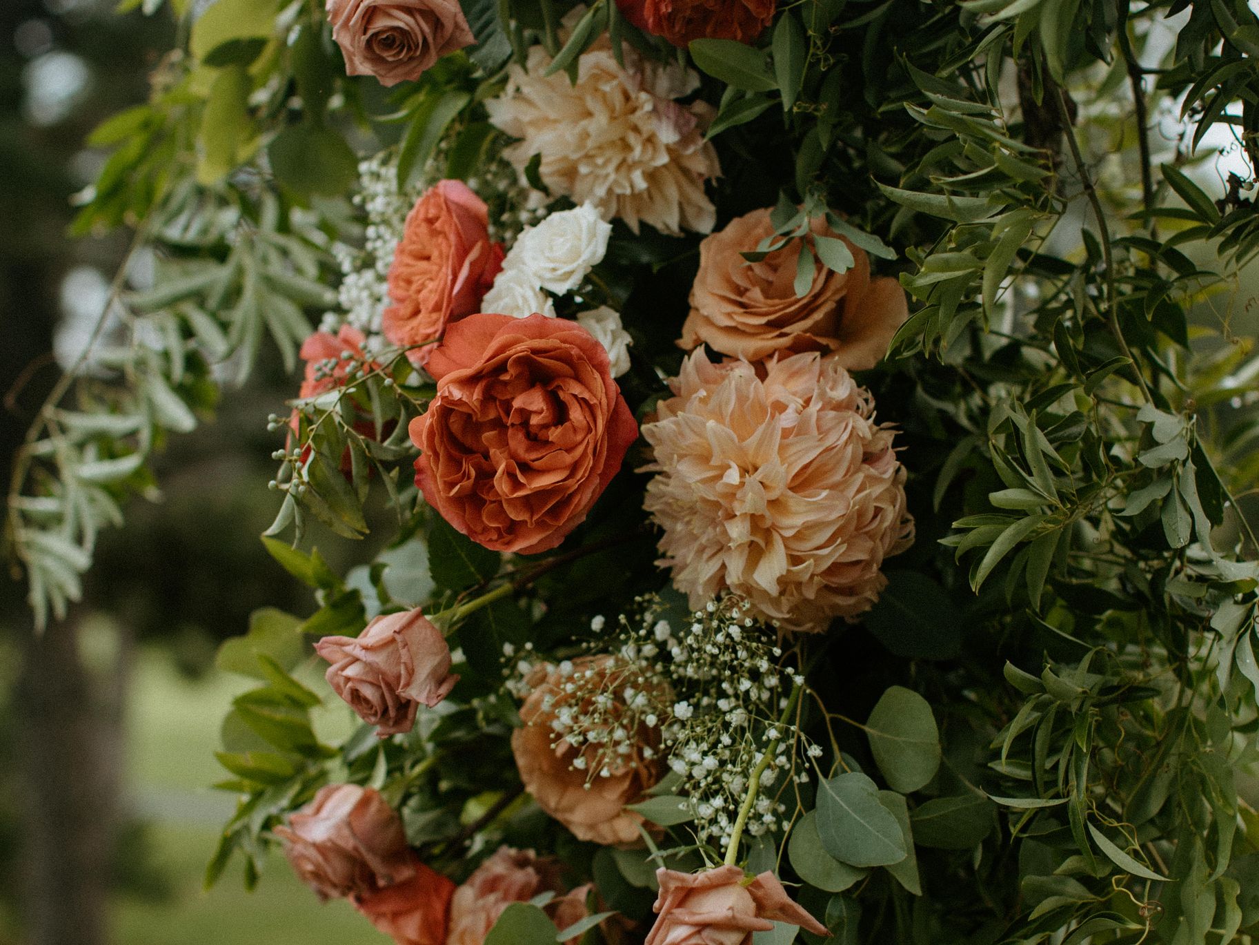 2025-02/Freeman+Wedding+04+Ceremony-23 (1).jpg