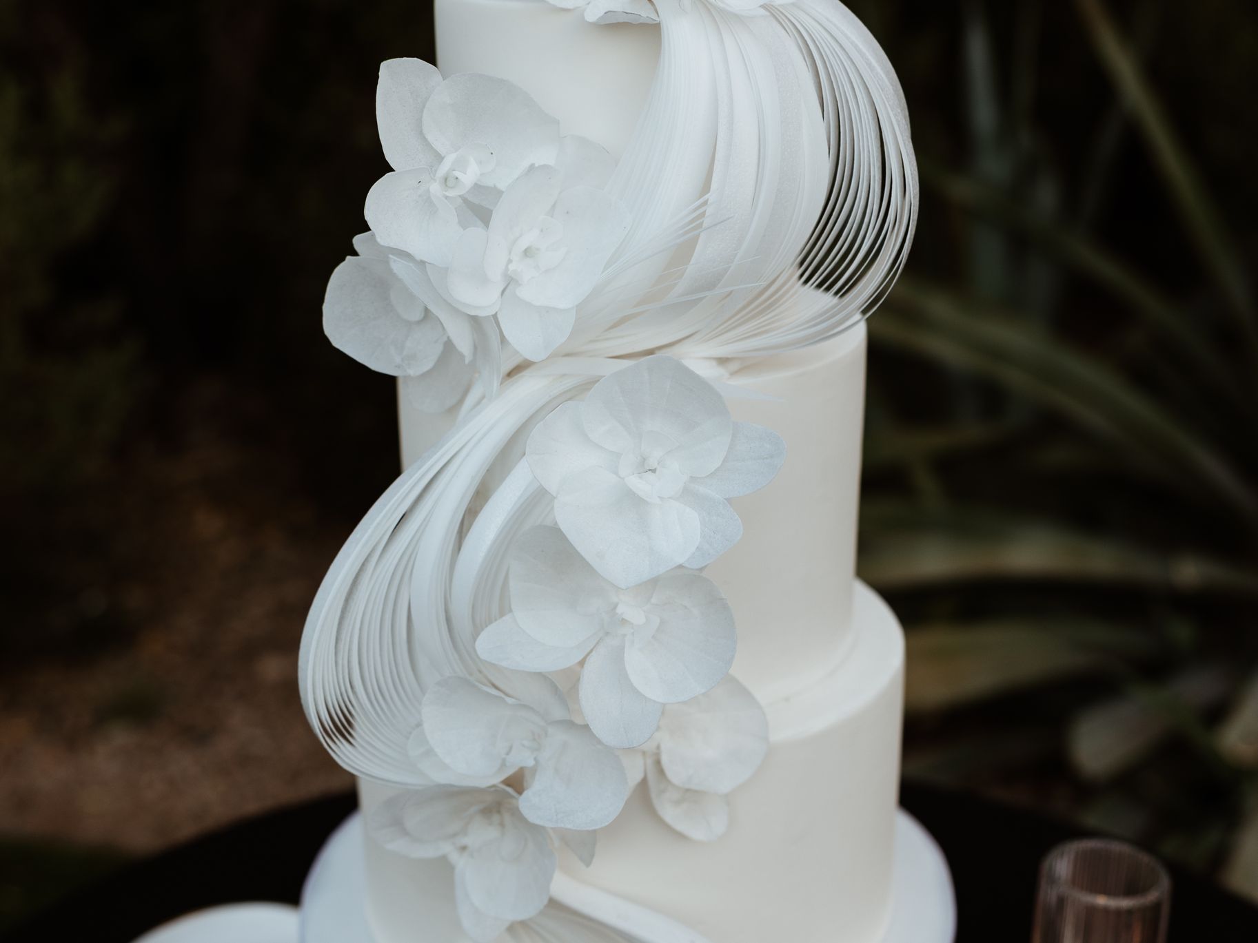 2025-07/modern-white-orchid-tiered-cake.jpg
