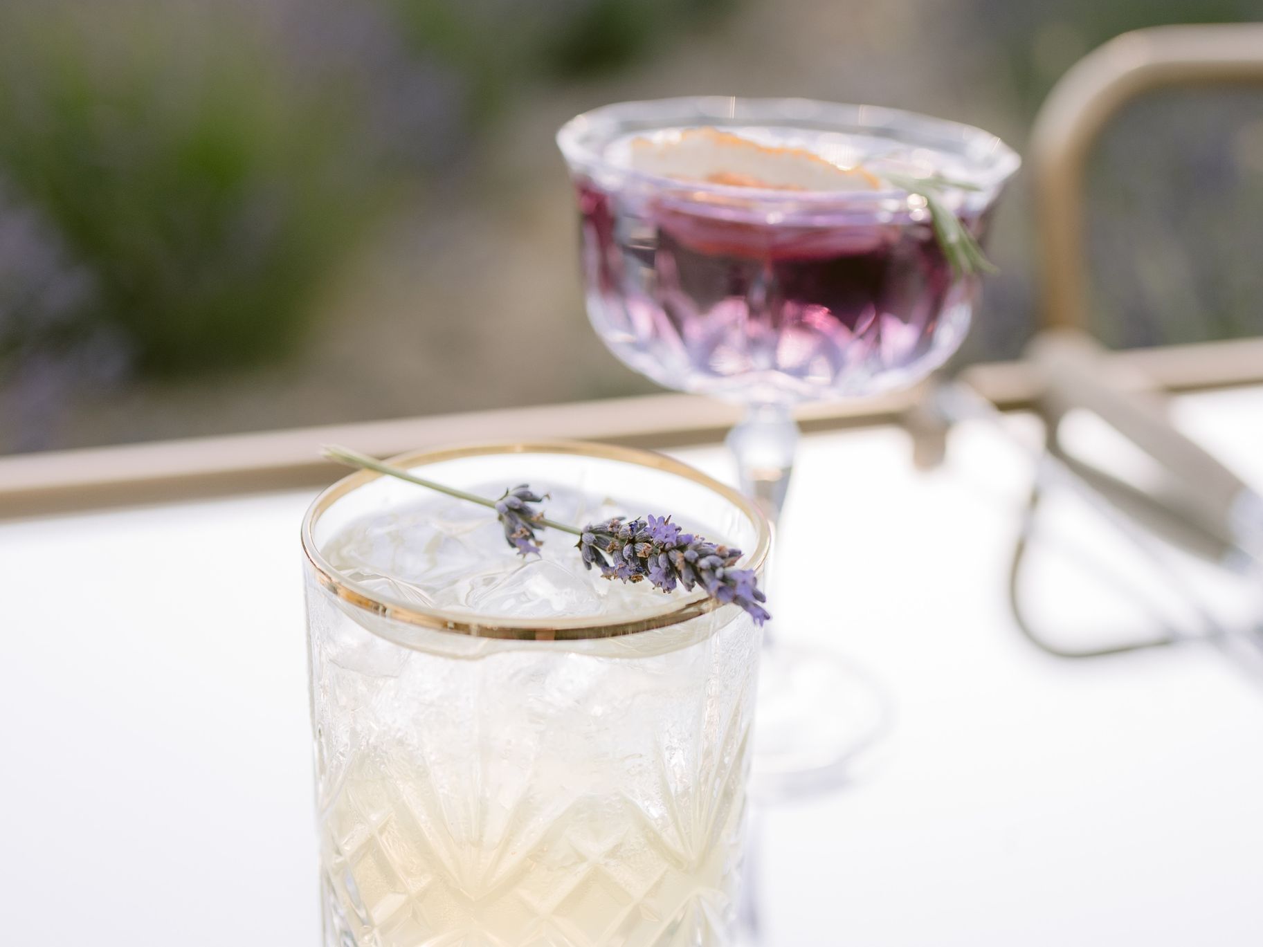 2025-08/j1730_lavender-shoot24_0409.jpg