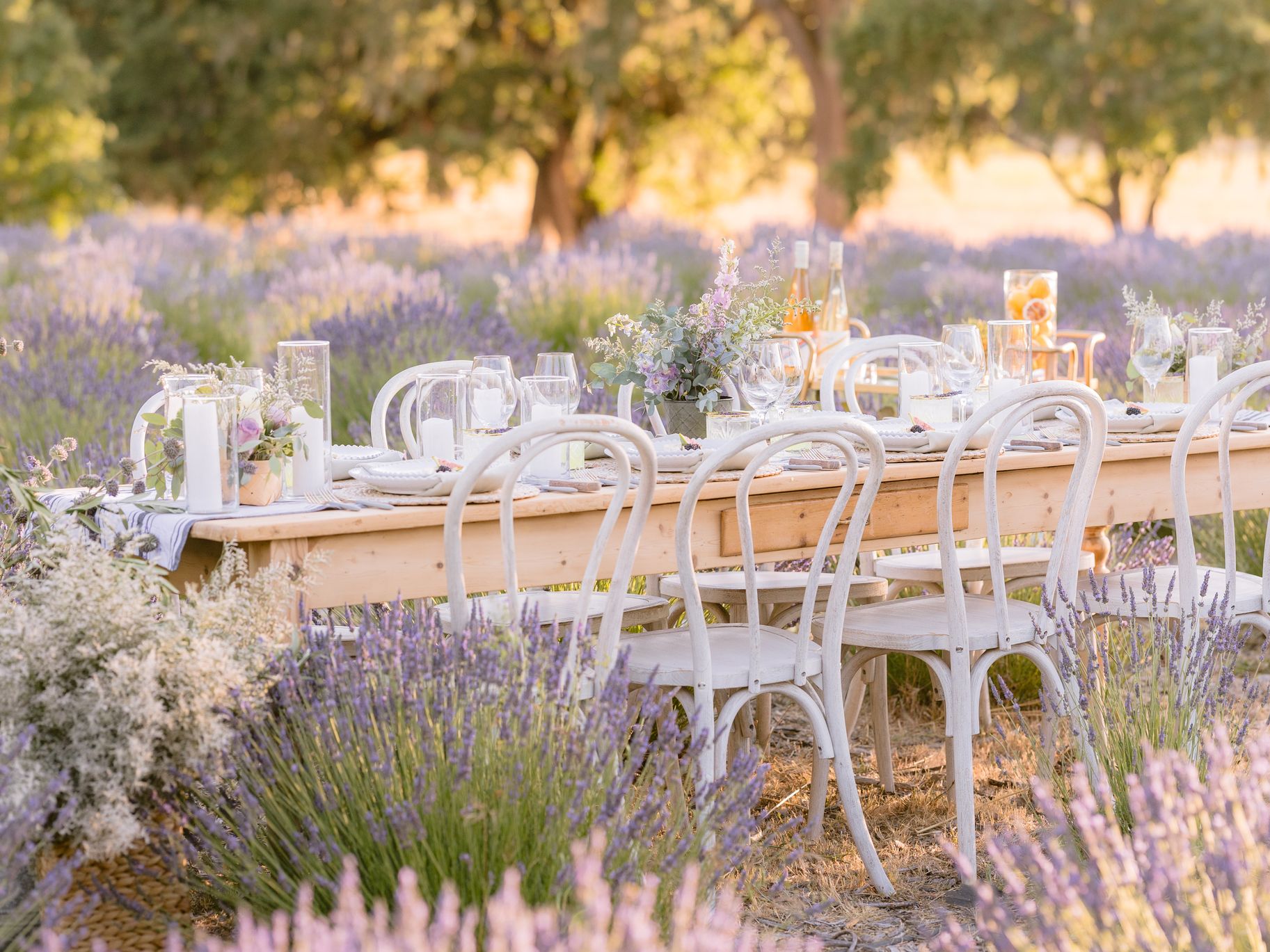 2025-08/j1730_lavender-shoot24_0763.jpg