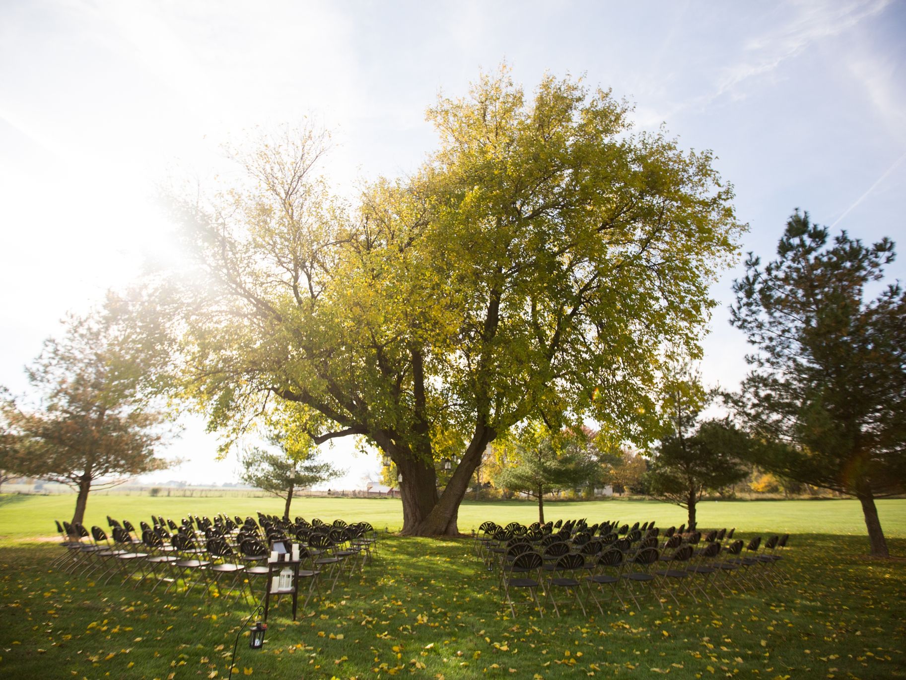 2025-11/Lowe wedding Ceremony site.JPG