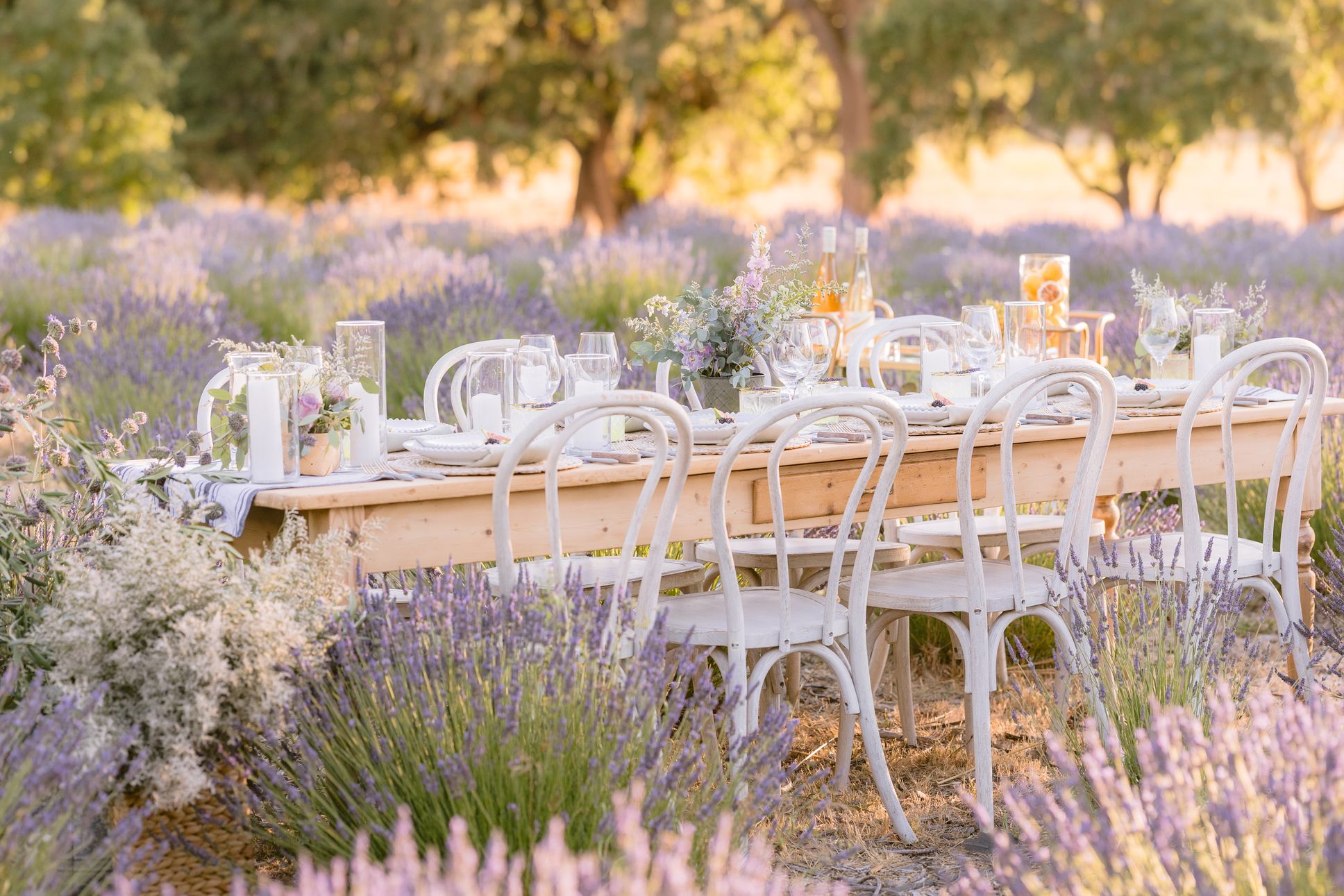 2025-08/j1730_lavender-shoot24_0763.jpg