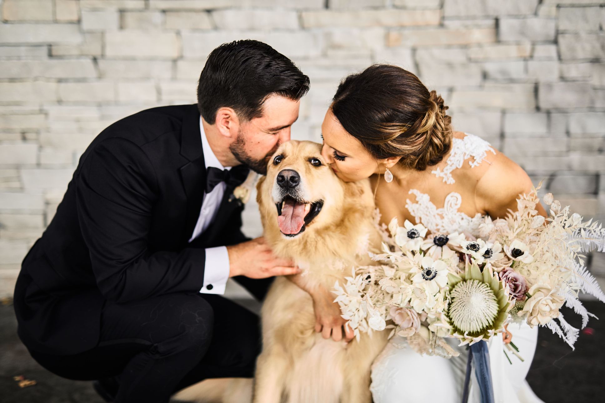 doggysocial couple