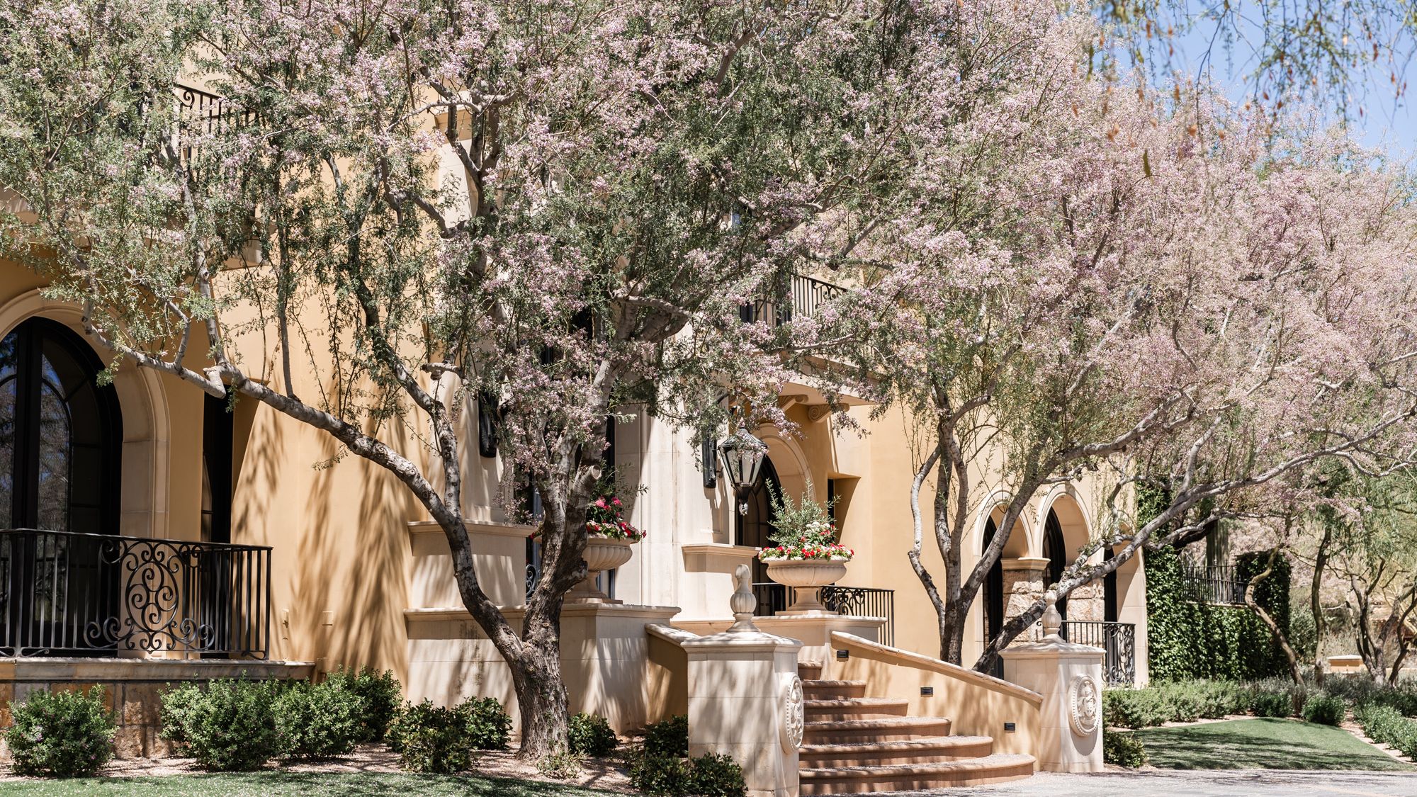 2025-03/StephanieLynnCo-DaniChris-SilverLeafArizona-Detail-25.jpg