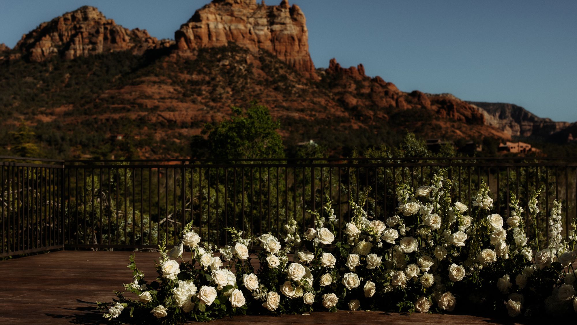 2025-06/Emily+Mike_0615.jpg