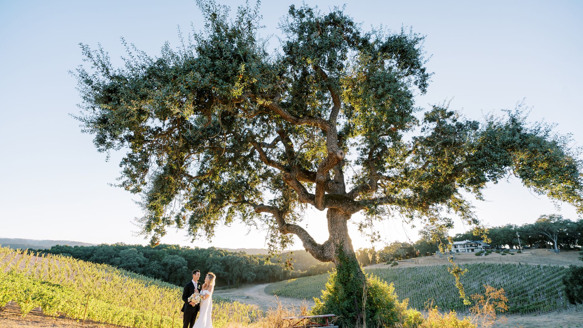 2025-08/Oak & Vine Vineyard Estate | Kristine & Matt's Wedding | Wedding | Derek Preciado Photography-424.jpg