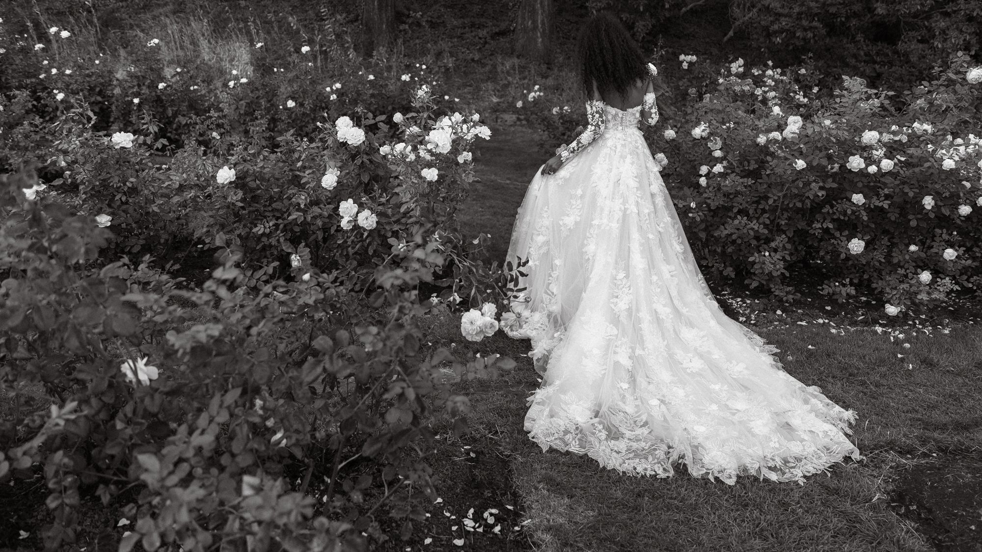 2025-10/Jeremy+Jessica_Wed_2024-1561.jpg