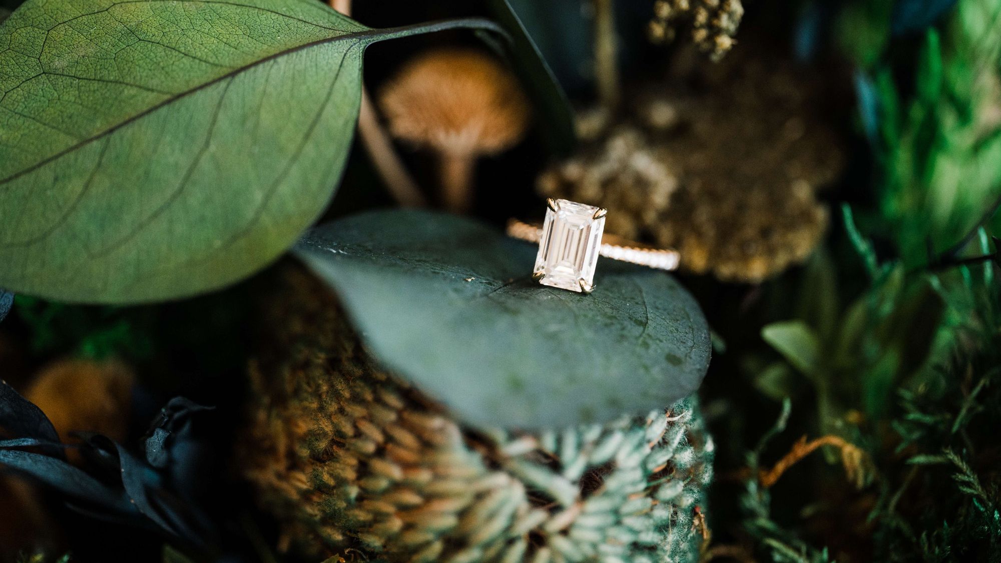 2026-05/Olivia-Bryan-Oregon-Coast-Elopement-51.jpg