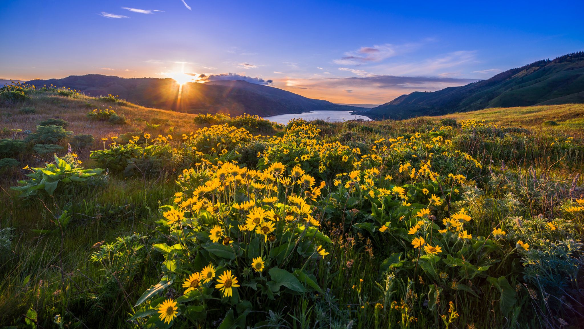 2023-08/Columbia Gorge View.jpg