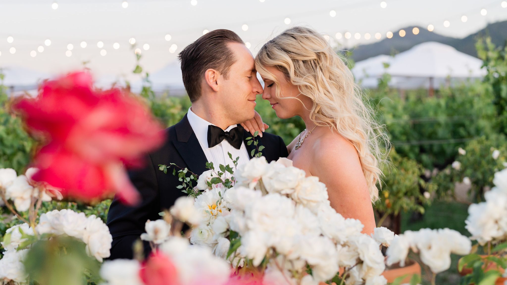 2023-10/StephanieLynnCo-NapaWedding-SummerNick-1464.jpg