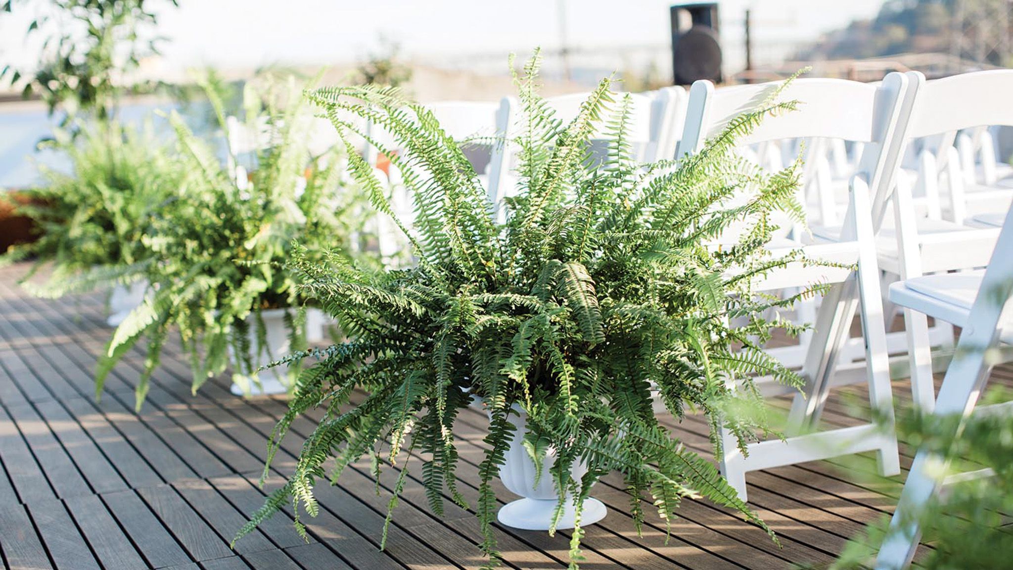 2023-10/16- GinaMichaelWeddingSB.jpg