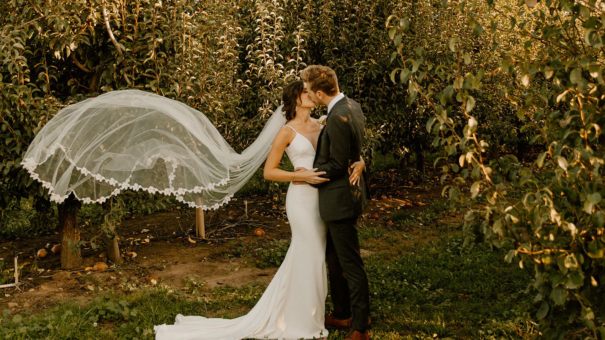 2023-10/ginapaulson_ashleyrob_wedding-768-3.jpg