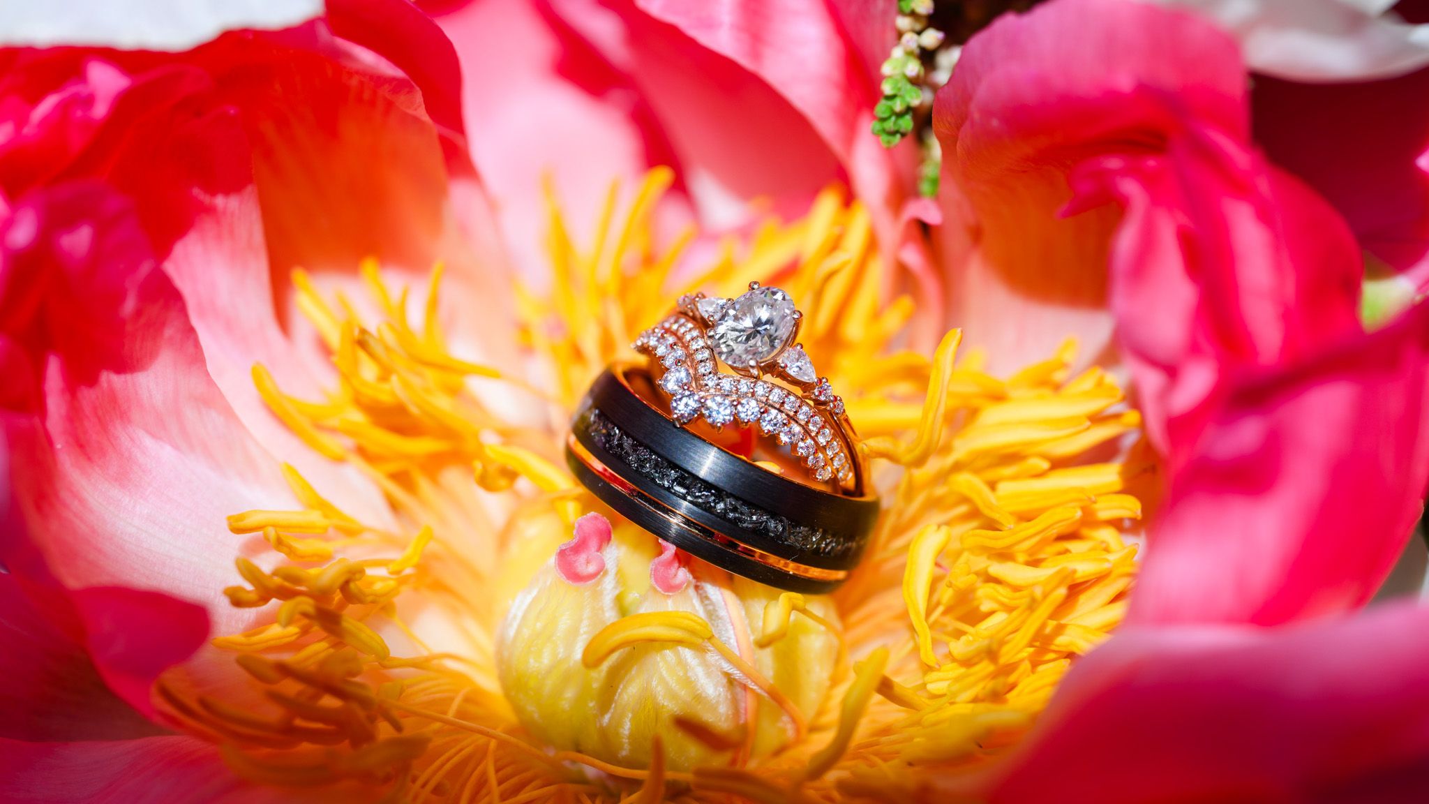 2023-12/Our Wedding 576.jpg