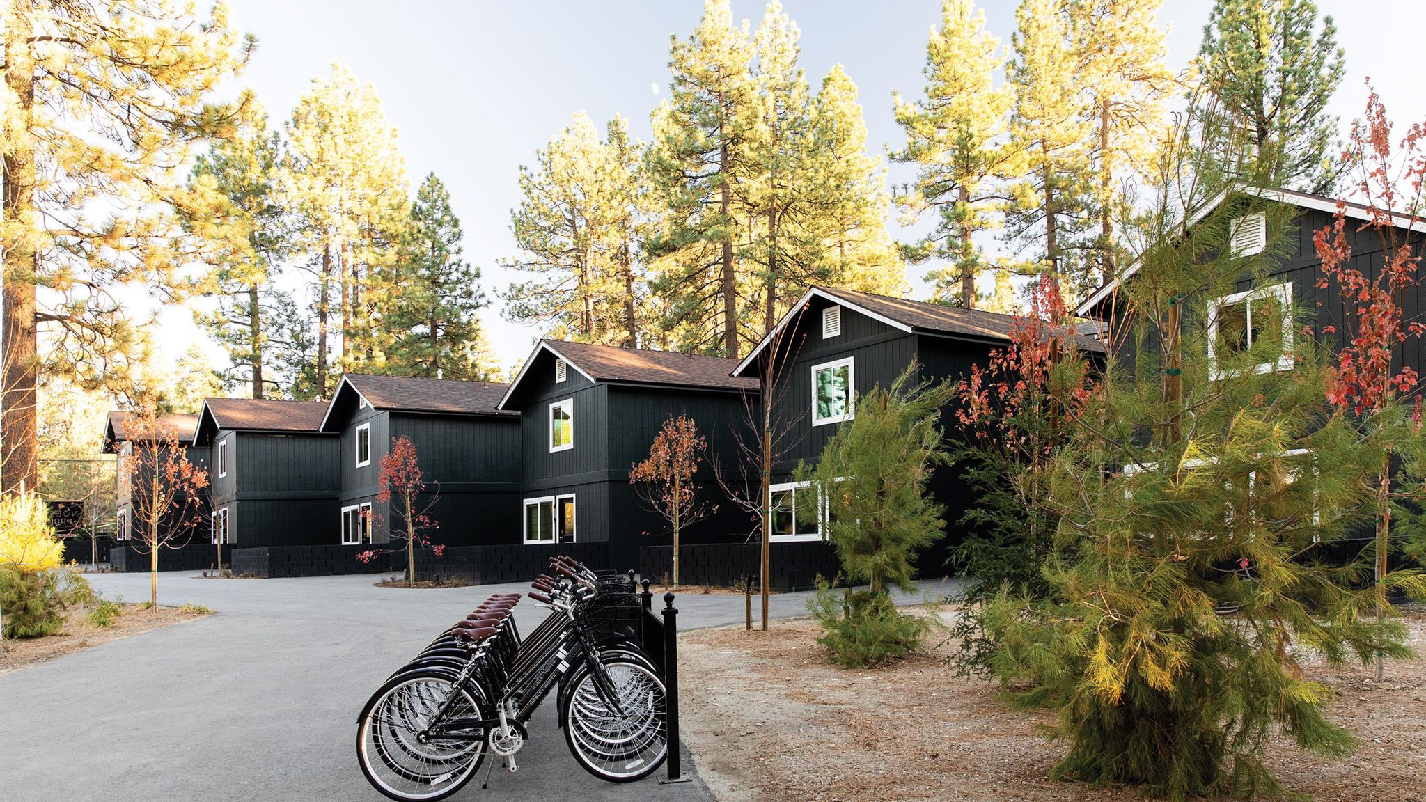 2023-12/JS_Noble+Proper_BigBearLake__0242.jpg