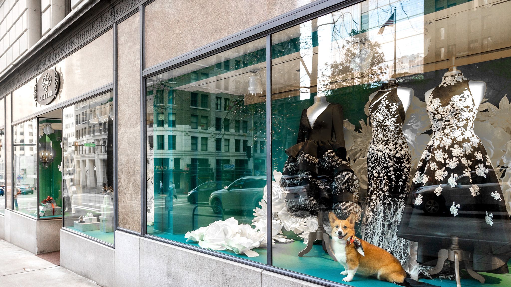 2024-01/CocoWindow.jpg
