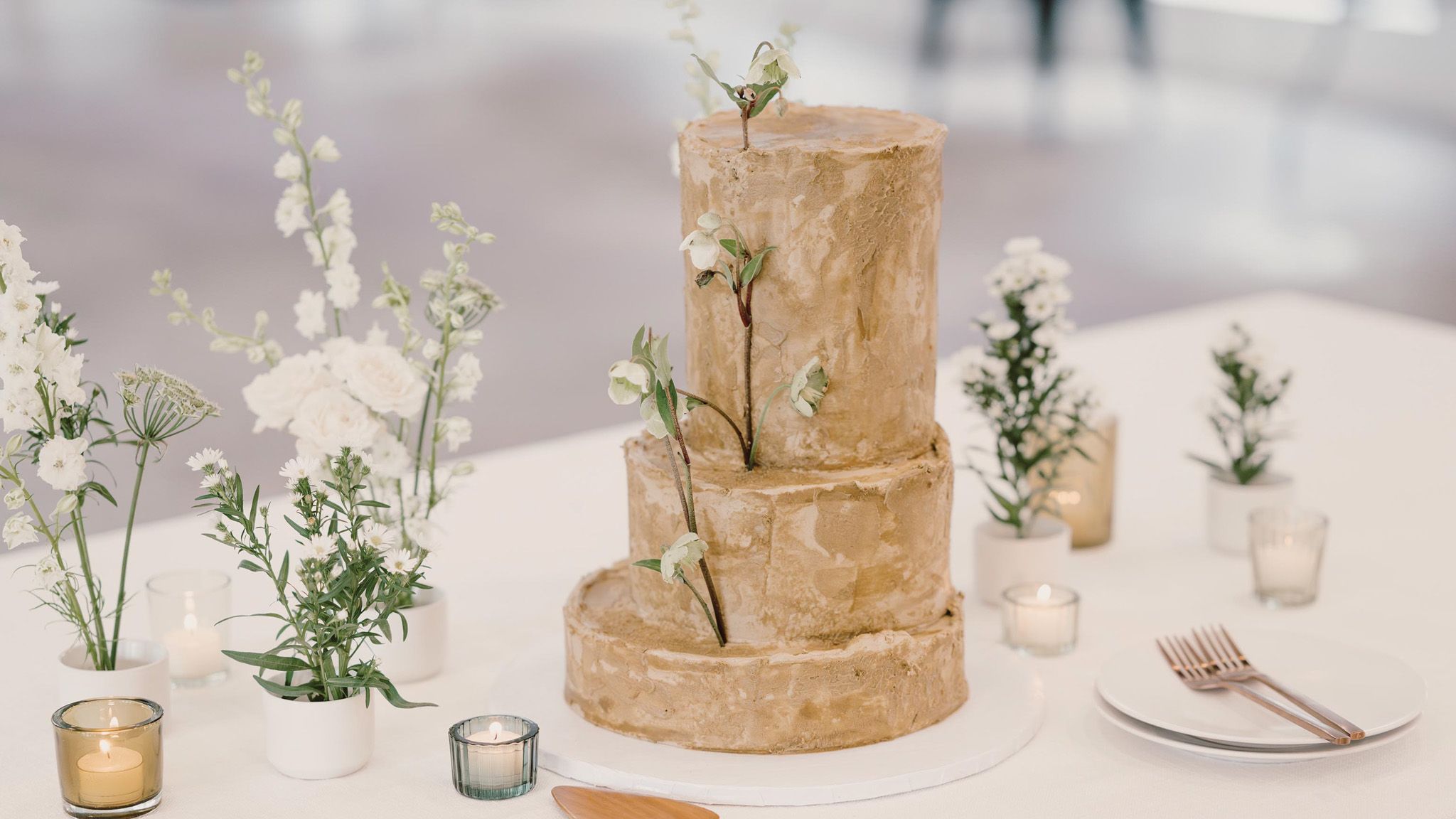 2024-01/OrganicCake_5.jpg