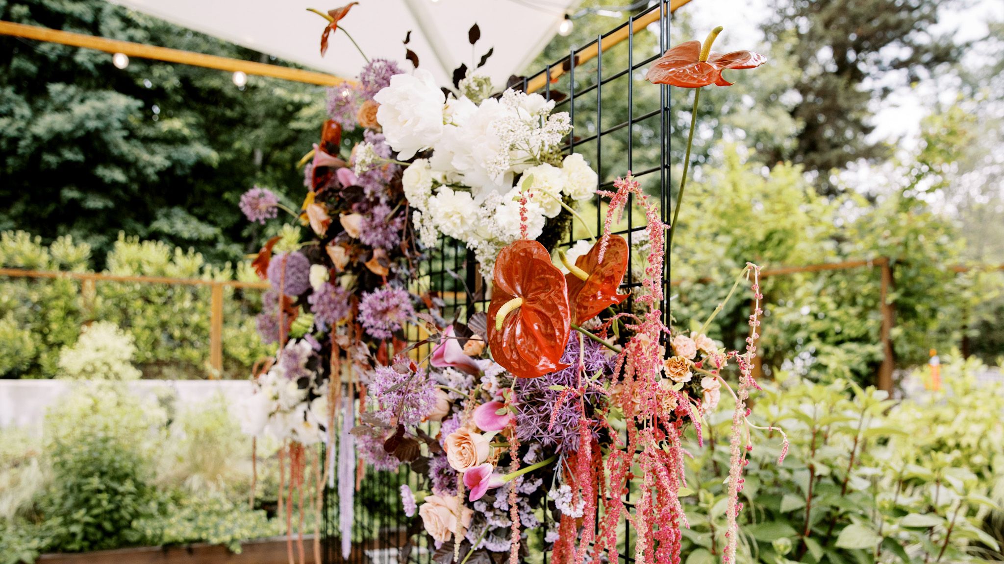 2024-01/Mary Kalhor_Woodinville Wedding_TK_246.jpg