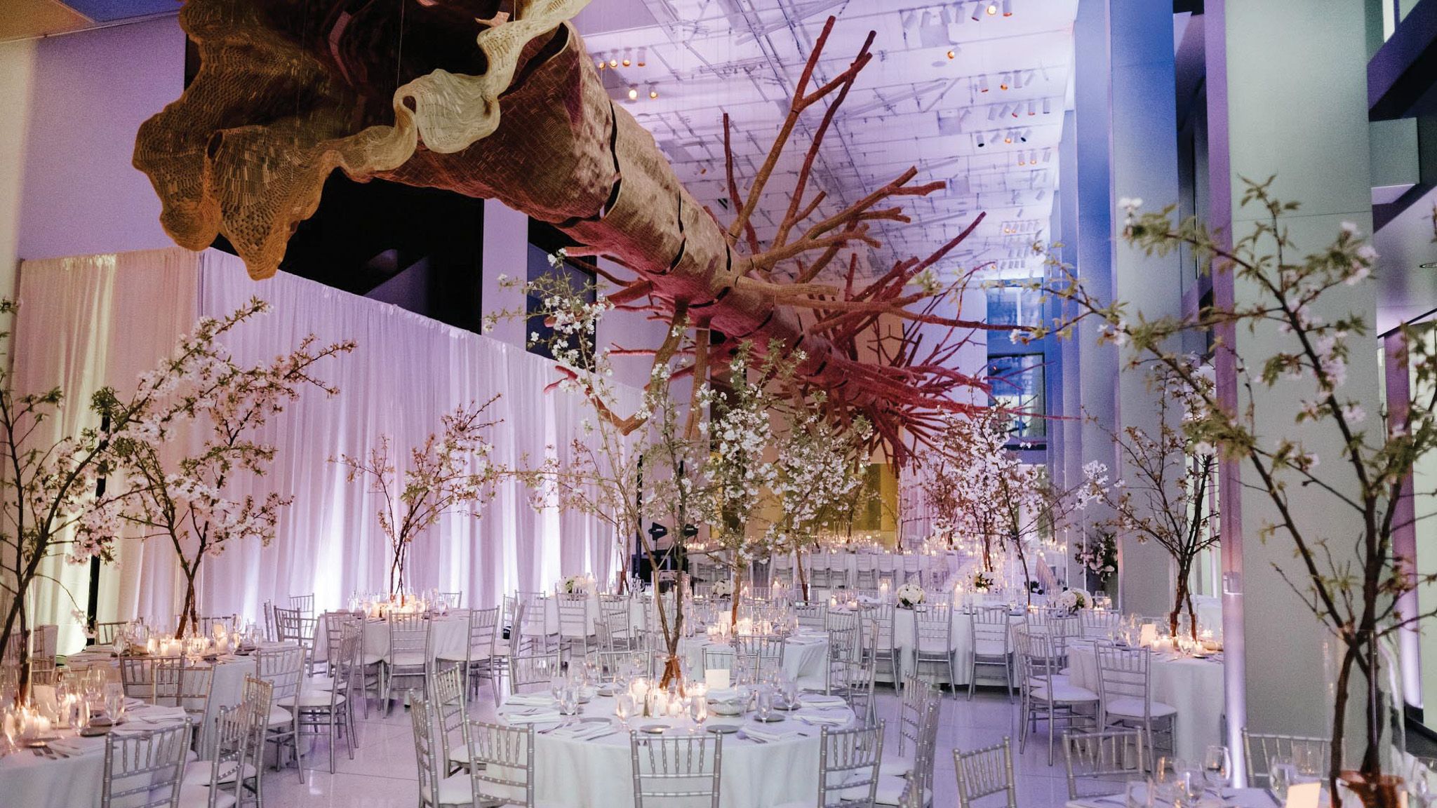 2024-01/Seattle Art Museum CarinaSkrobeckiPhoto_ForumWedding1.jpg